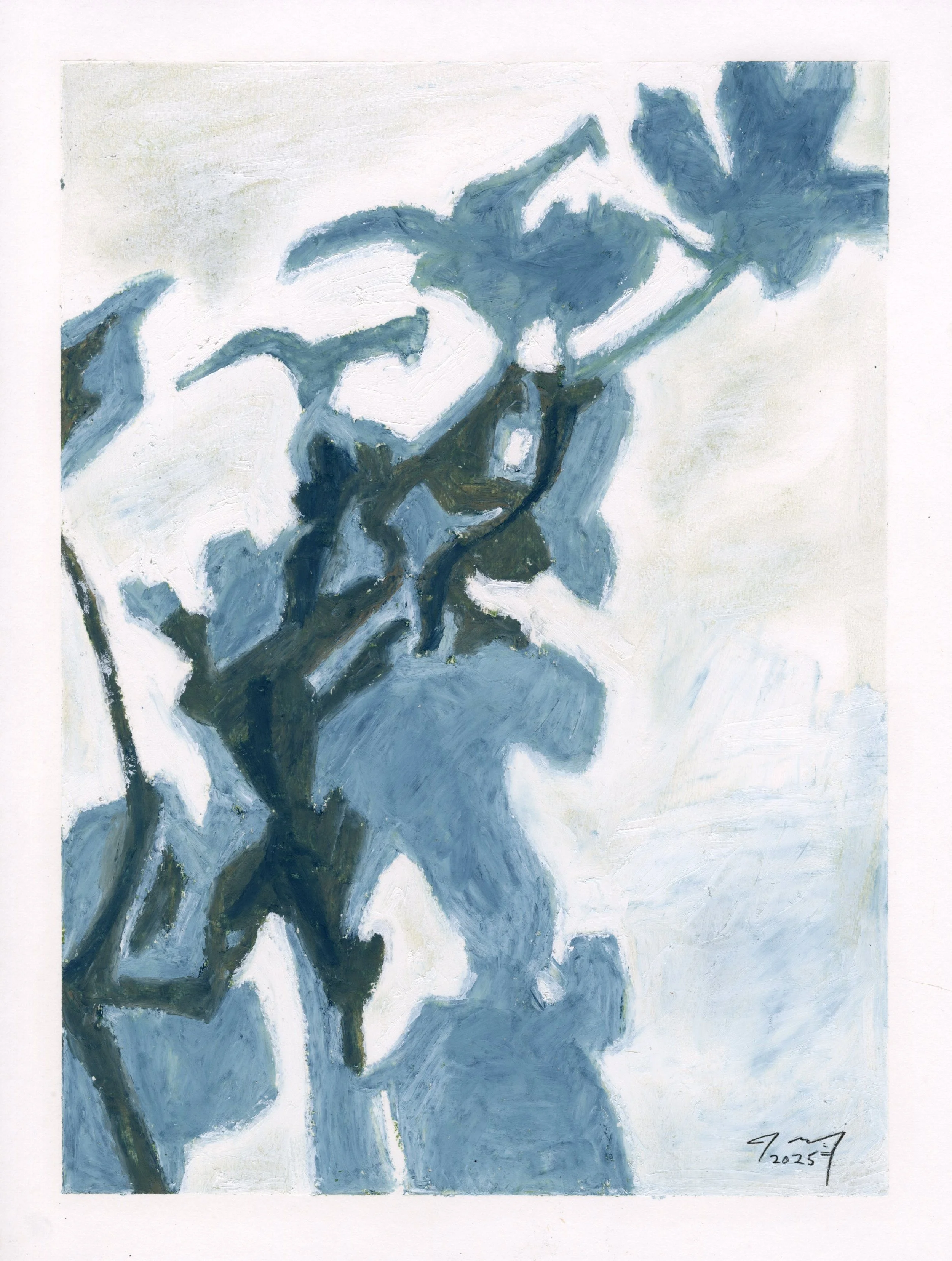 Meditations: White Orchids VI