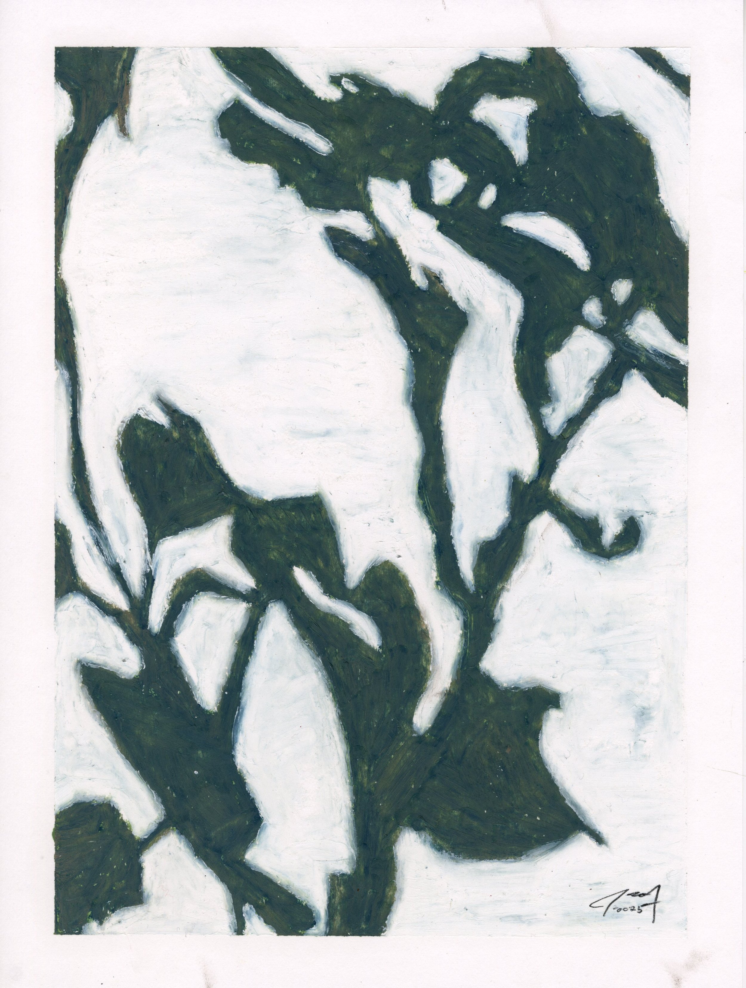 Meditations: White Orchid I