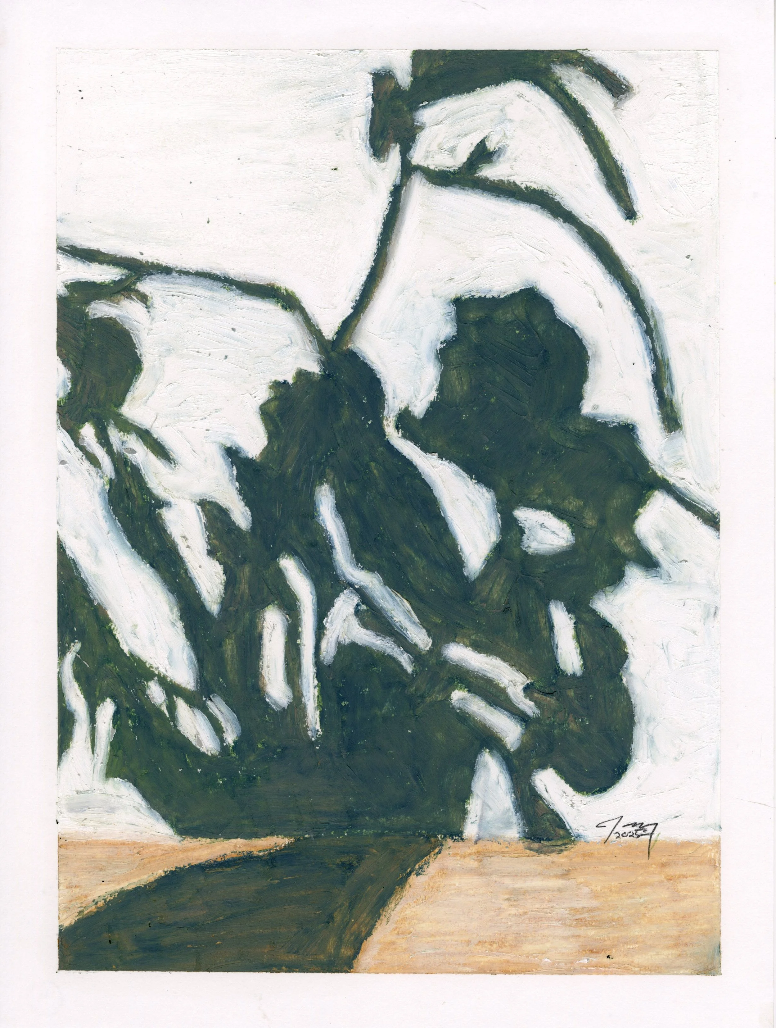 Orchid Shadow Series, IV, oil pastel on paper, 9 in. x 12 in., 2025 - available for purchase $500.00