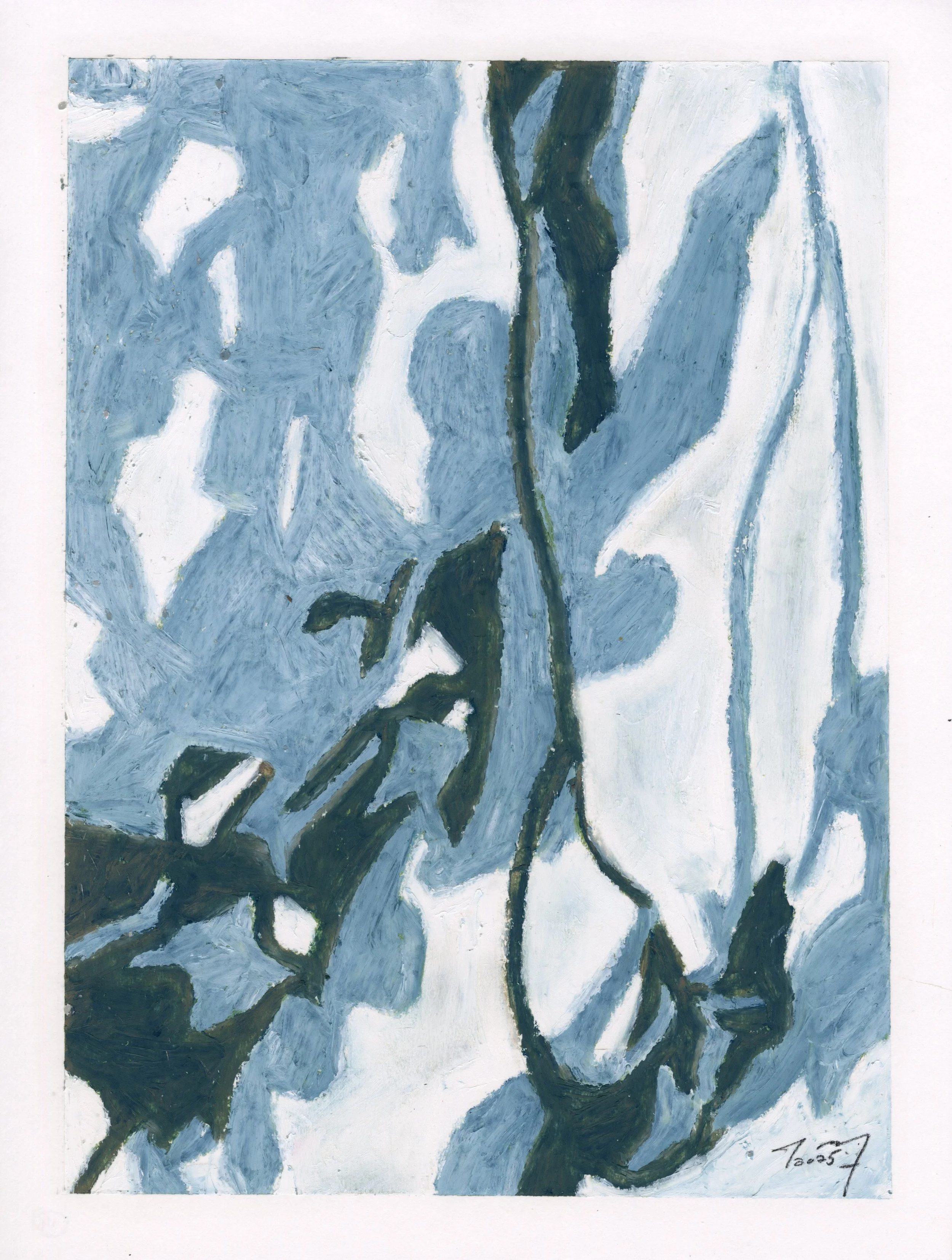 Meditations: White Orchid X