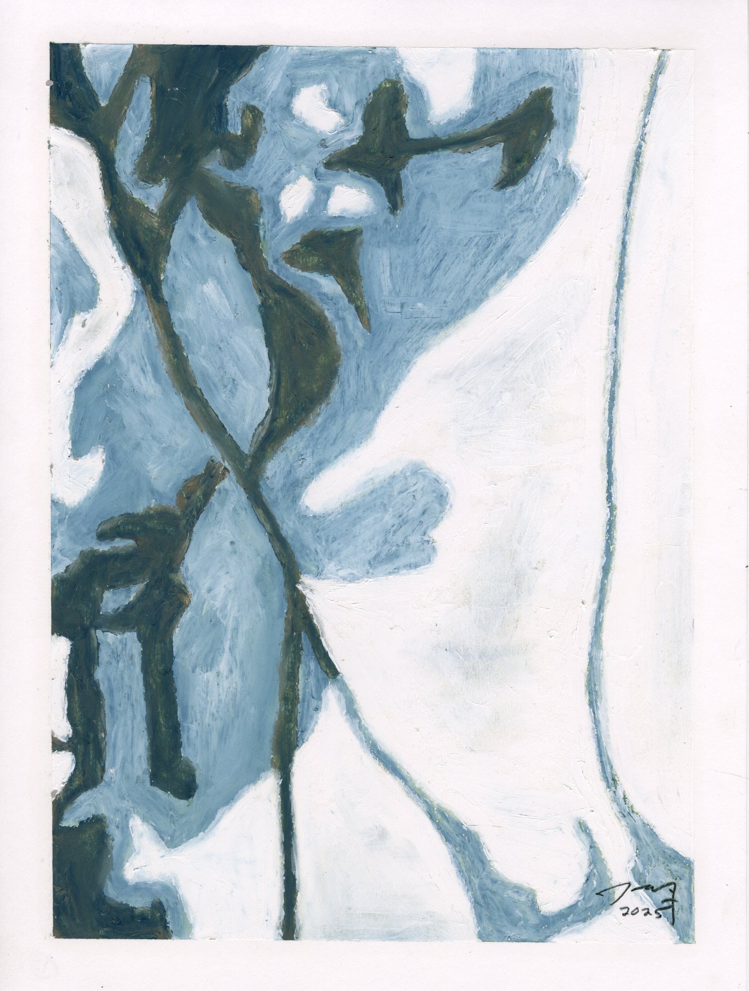 Meditations: White Orchid IX