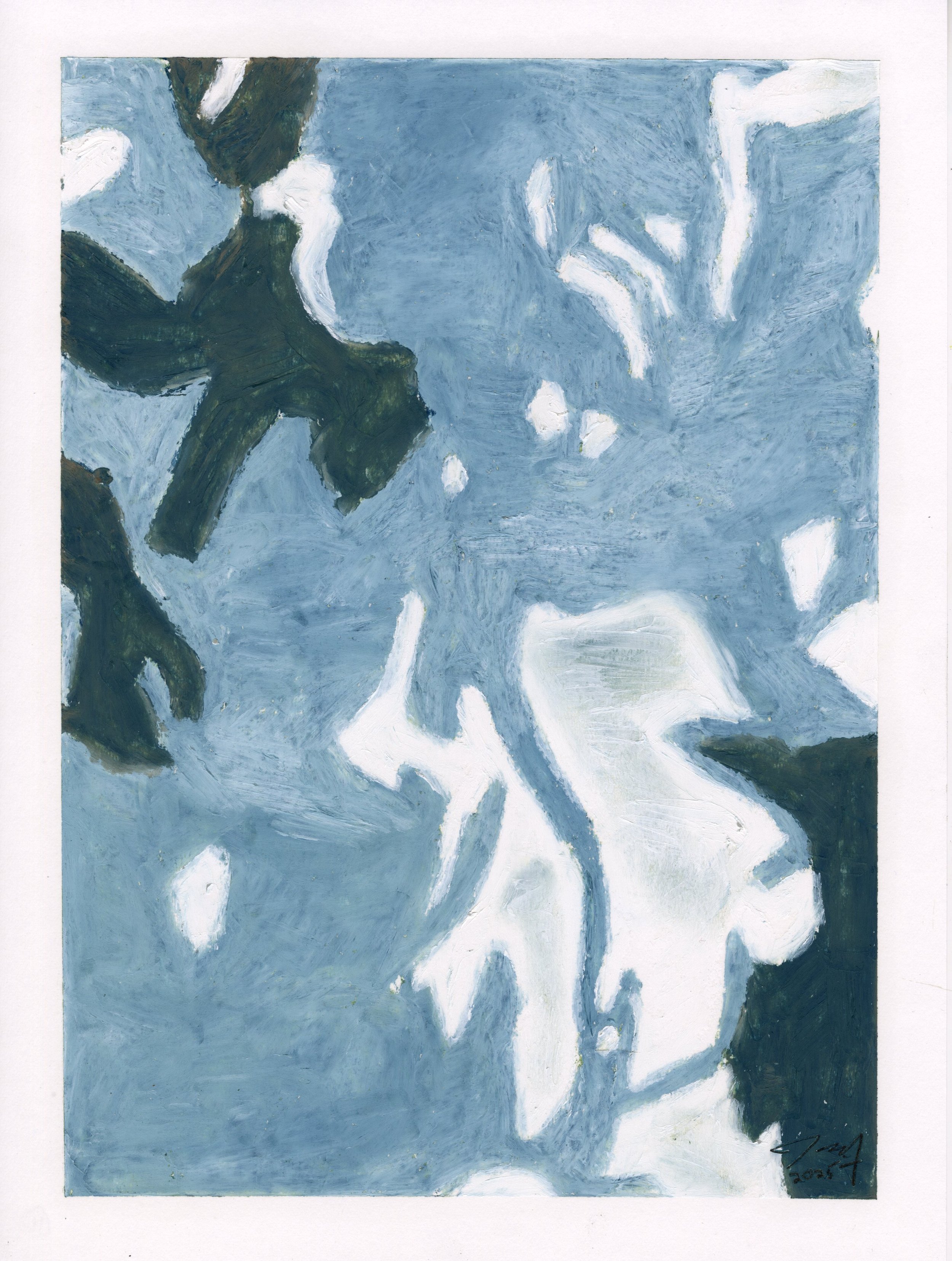 Meditations: White Orchids VII