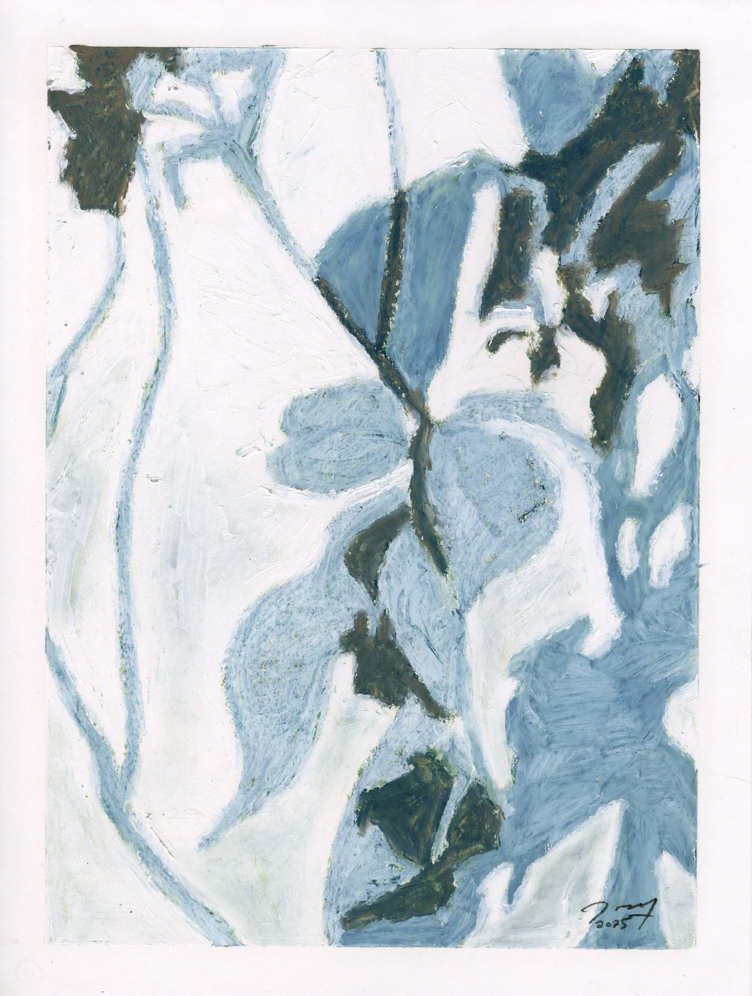 Meditations: White Orchid VIII