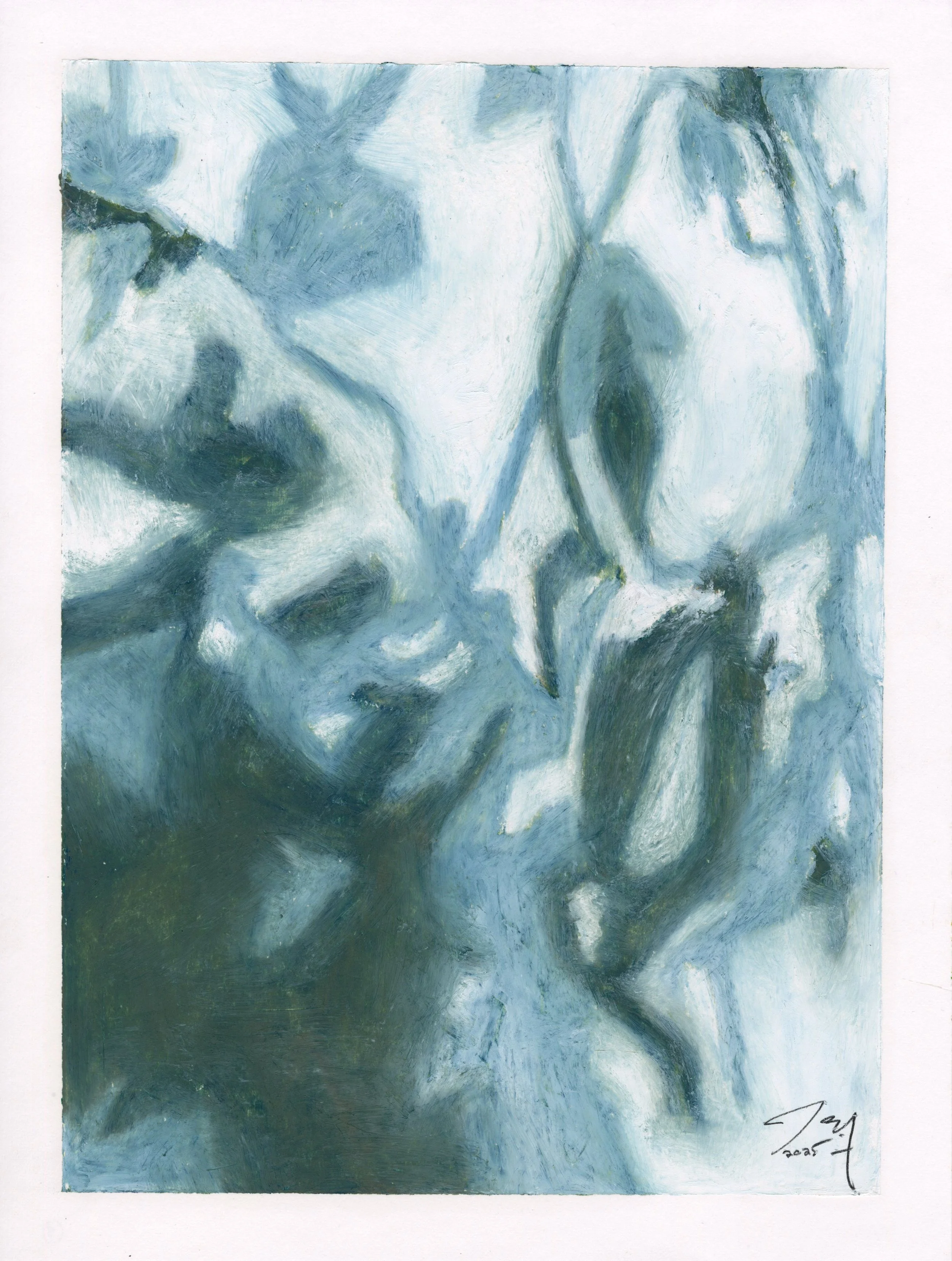 Meditations: White Orchid IV