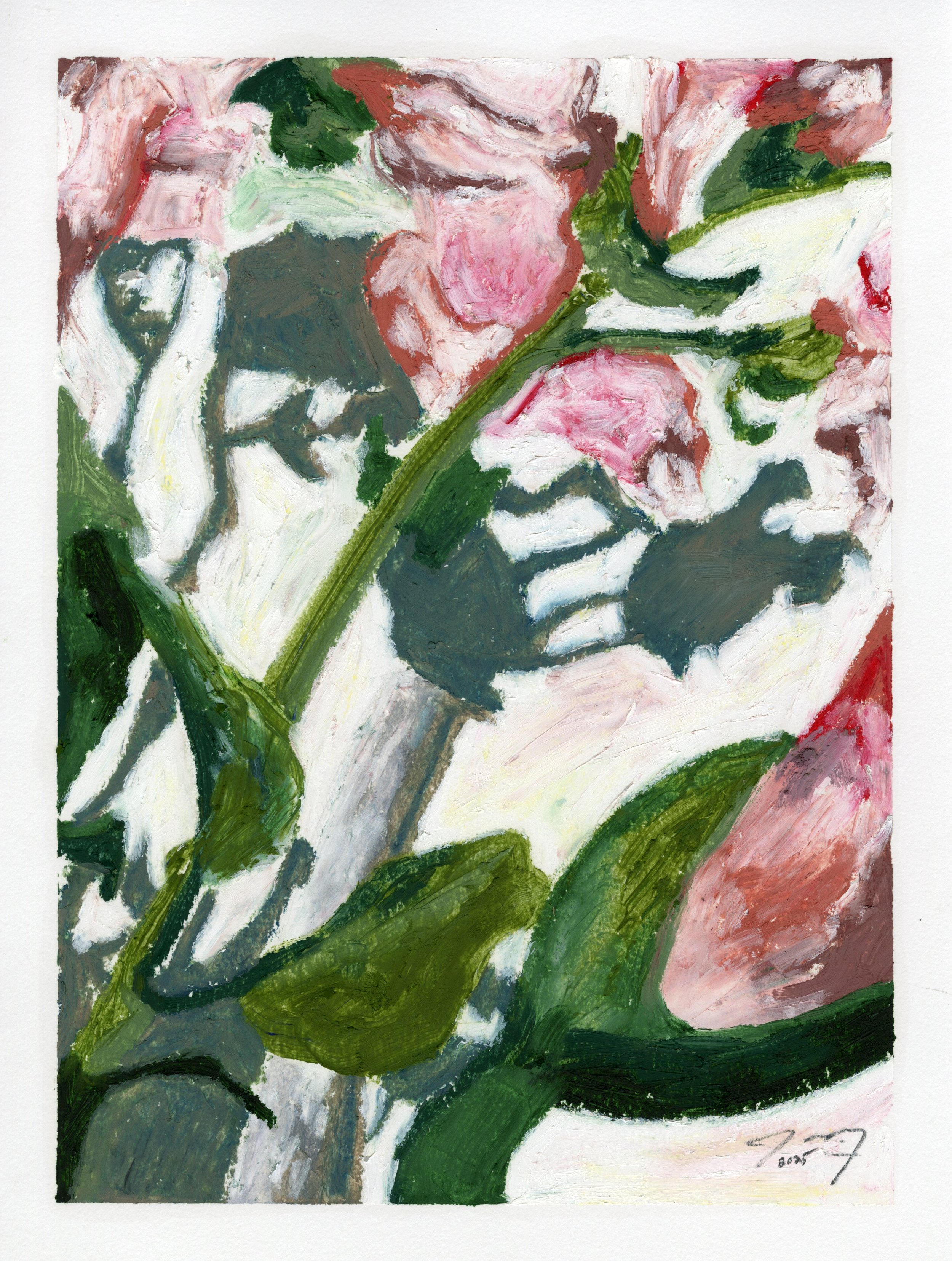 Snapdragon Shadow Series, I