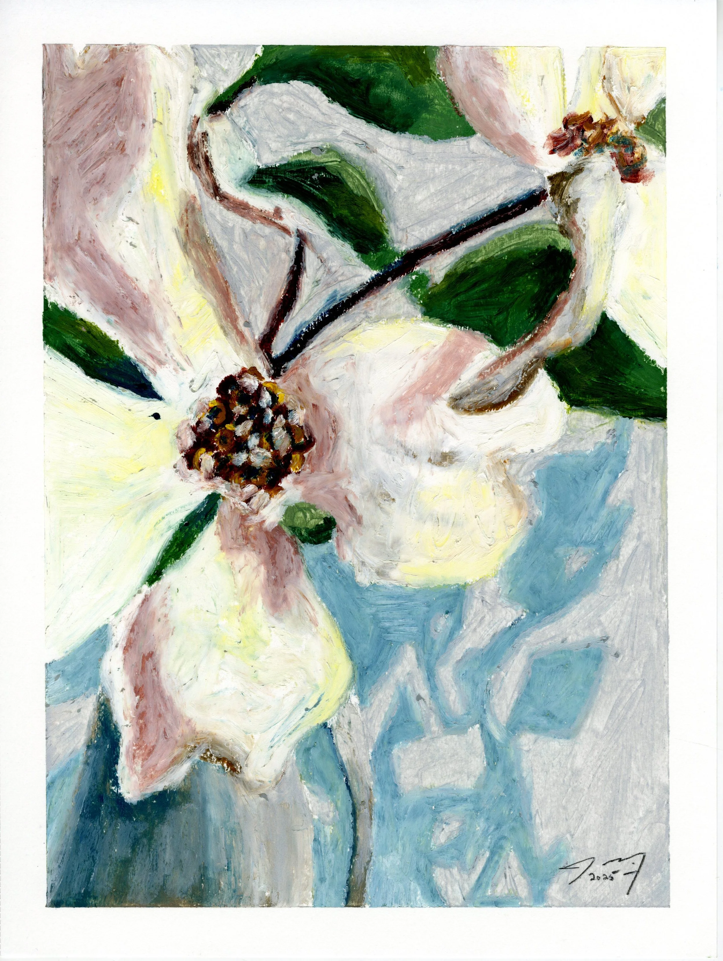 Orchid Shadow Series, V, oil pastel on paper, 9 in. x 12 in., 2025 - available for purchase $500.00 