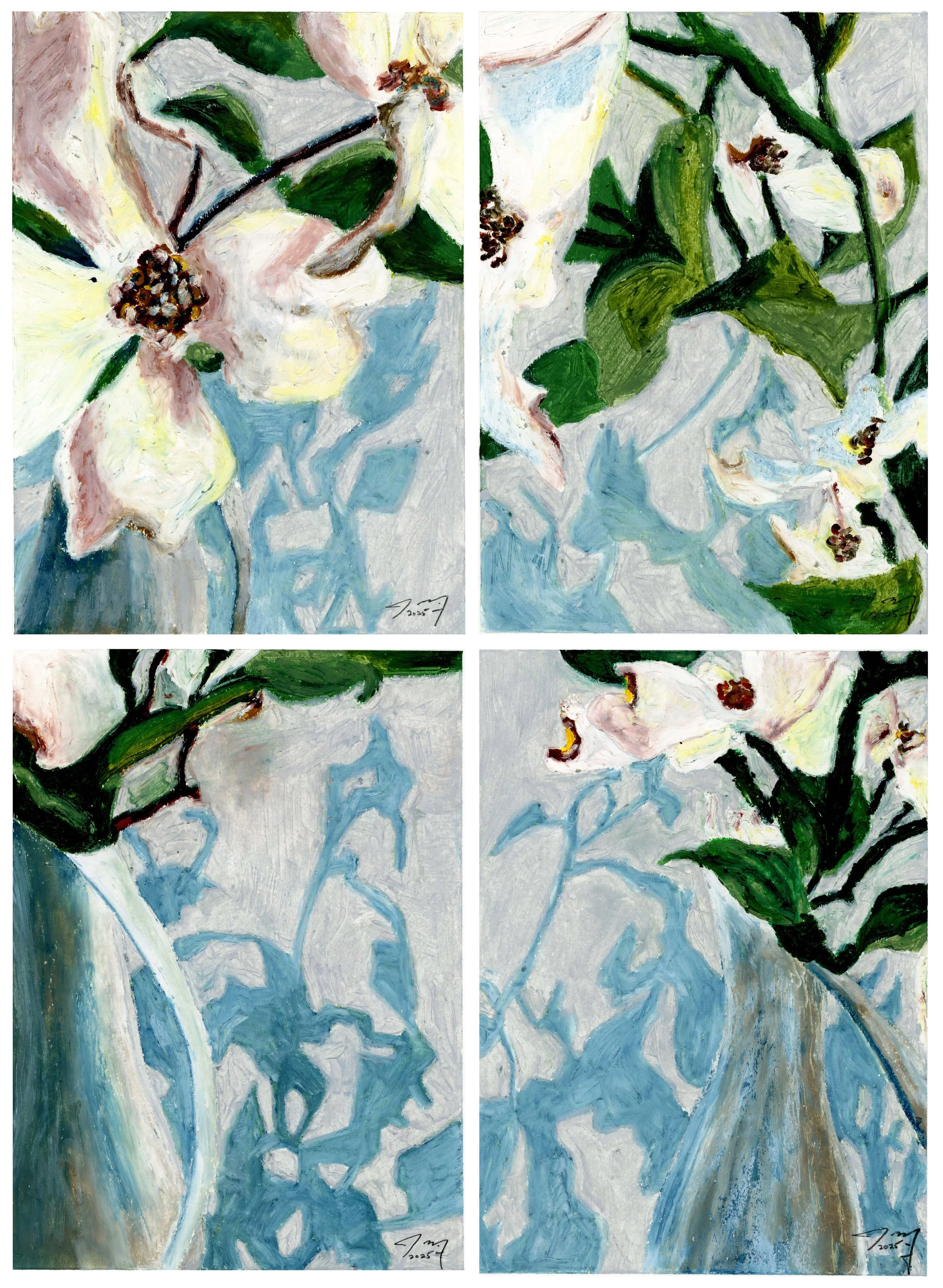 Orchid Shadow Series, V-VIII, oil pastel on paper, four 9 in. x 12 in. drawings, 2025 - available for purchase $500.00 each