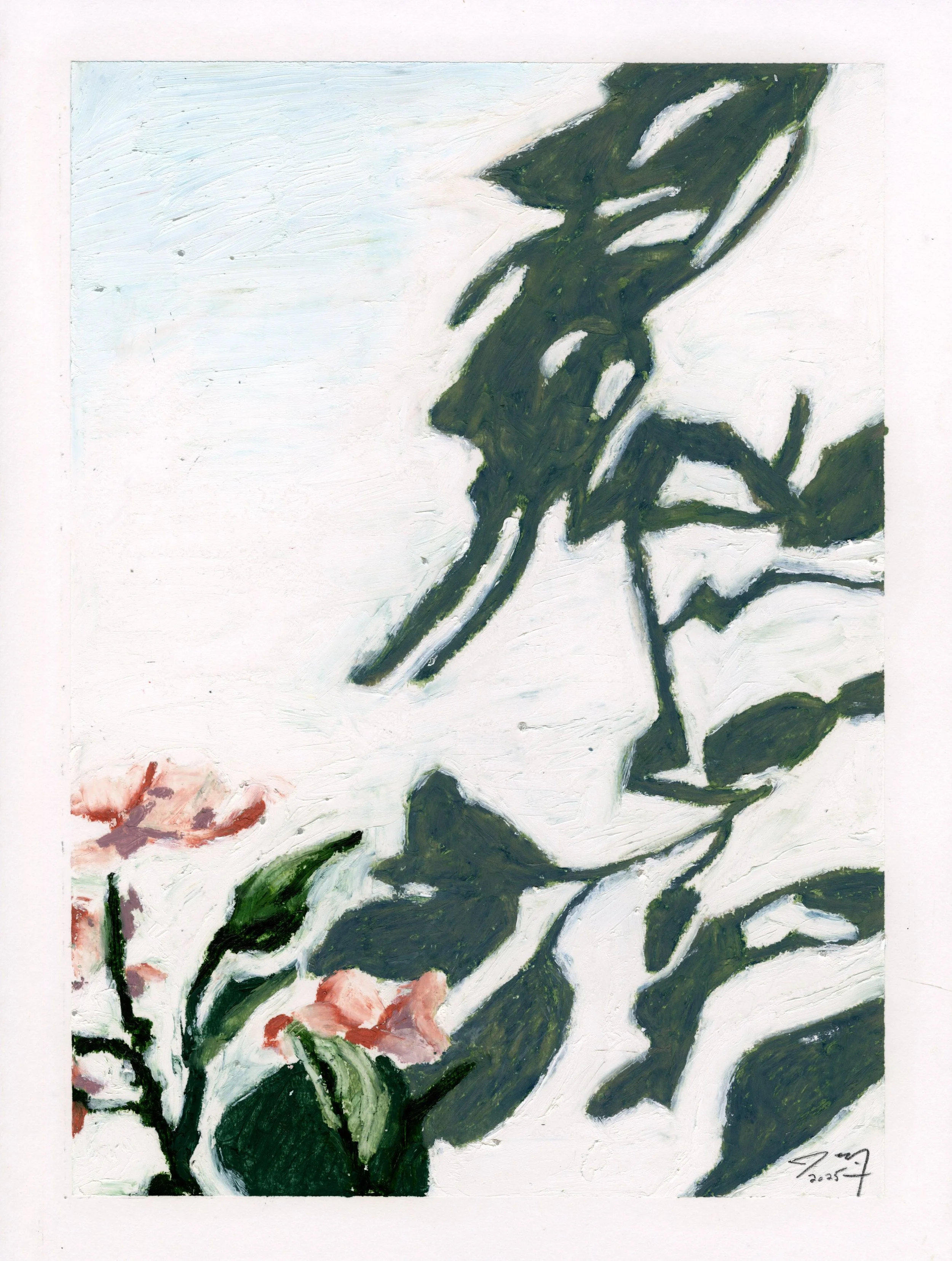 Orchid Shadow Series, II, oil pastel on paper, 9 in. x 12 in., 2025 - available for purchase $500.00