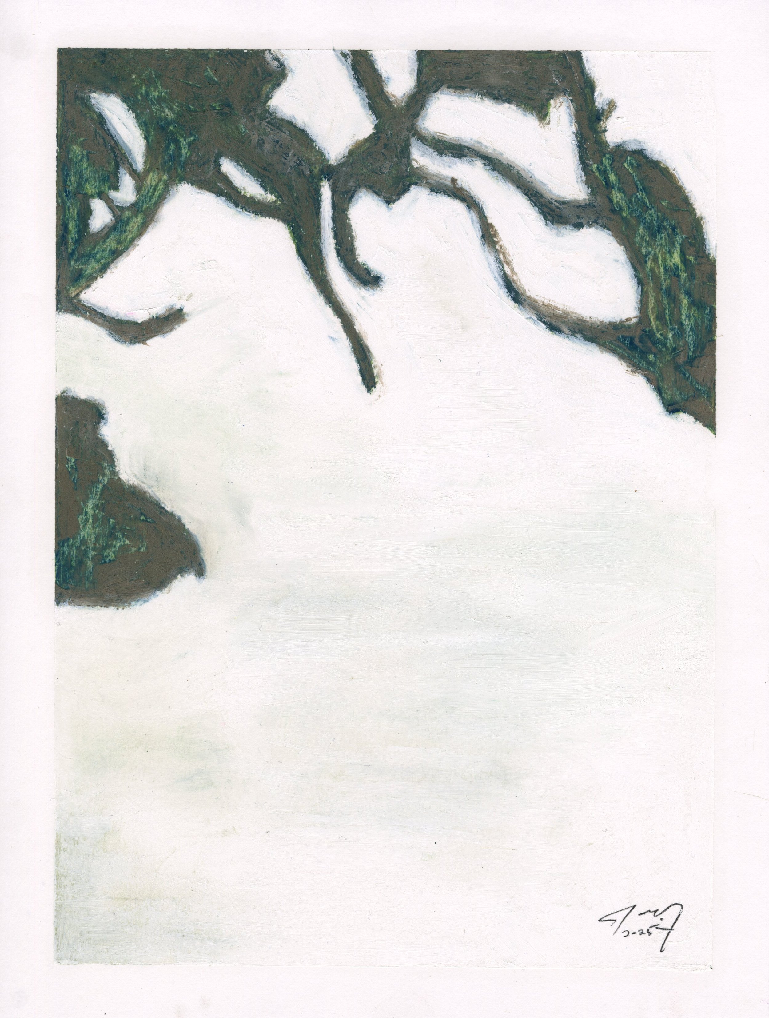 Meditations: White Orchid II