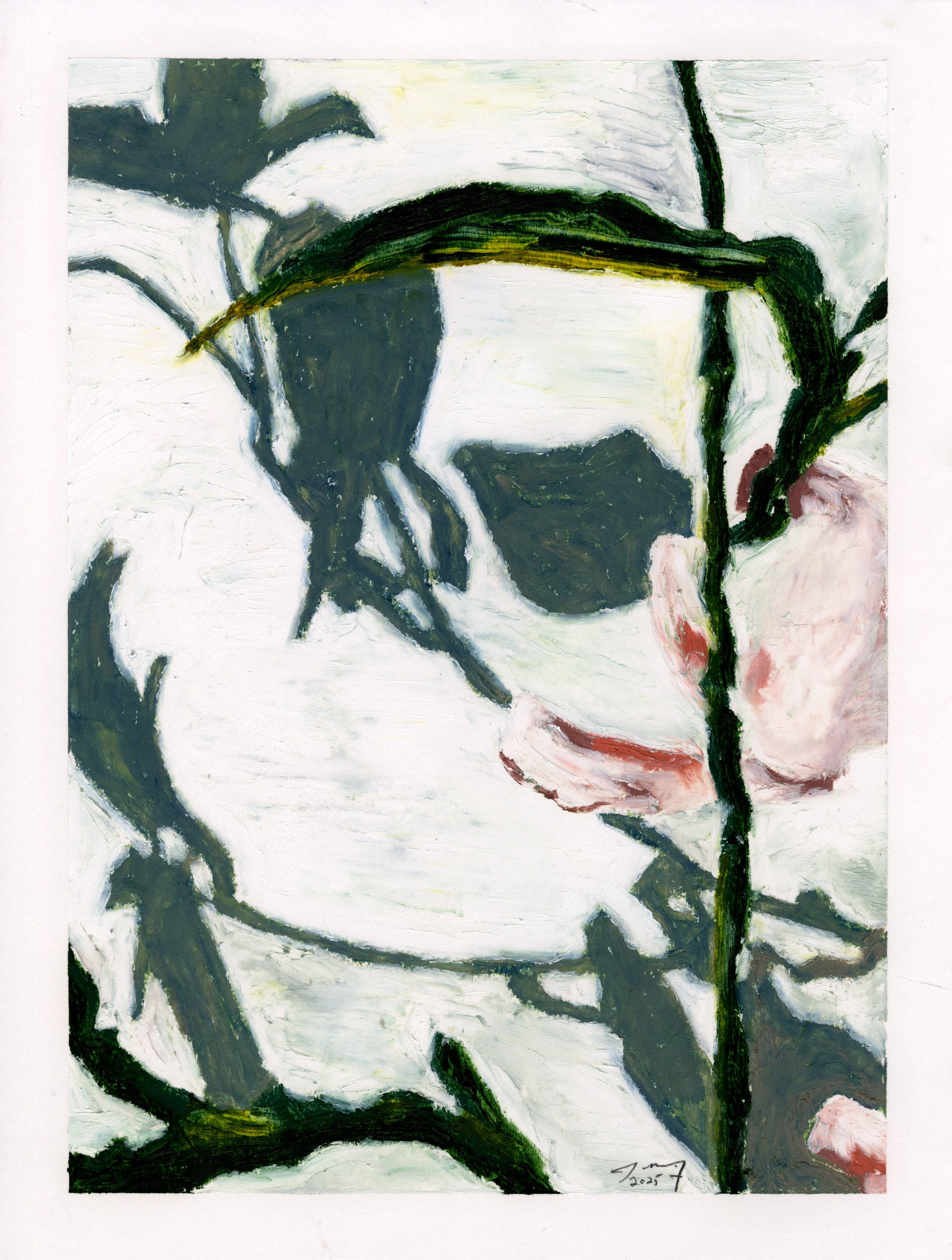 Orchid Shadow Series, III, oil pastel on paper, 9 in. x 12 in., 2025 - available for purchase $500.00