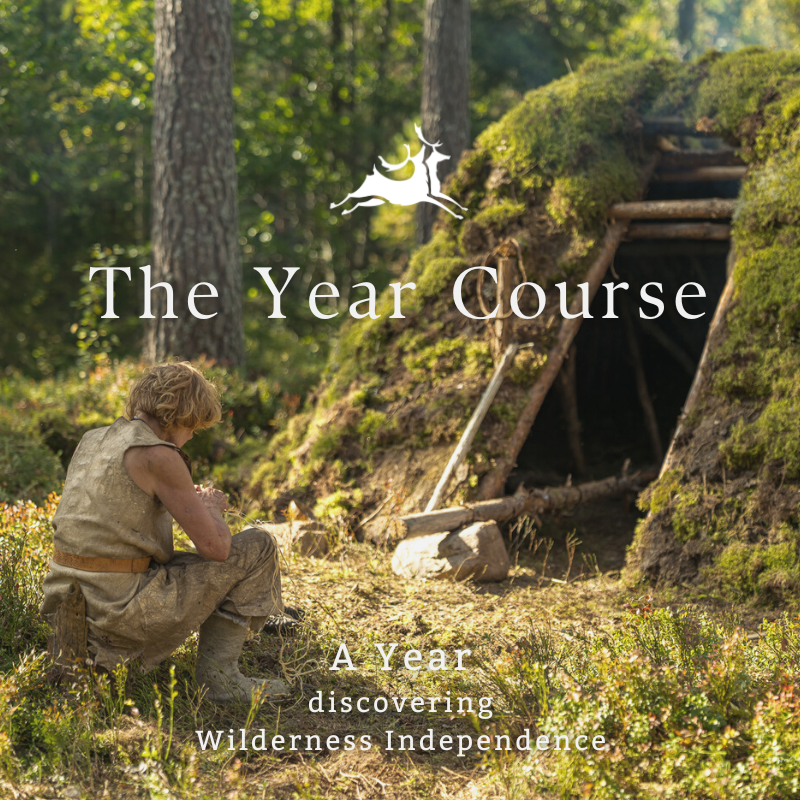 year course thumb.png