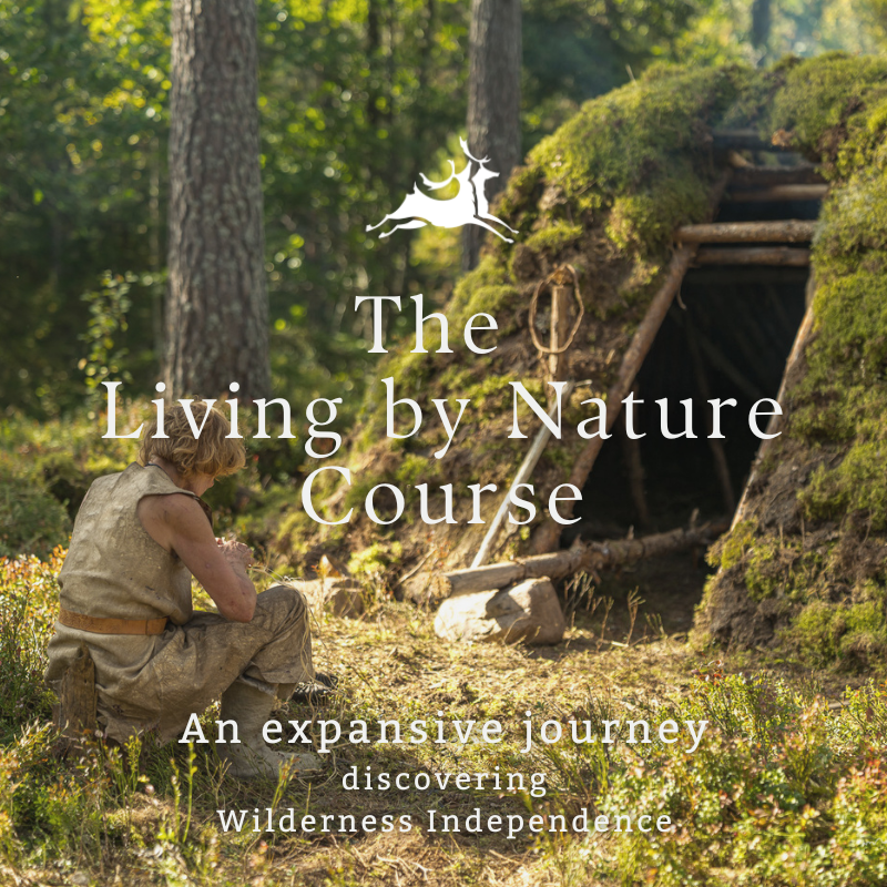 The Living by Nature Course