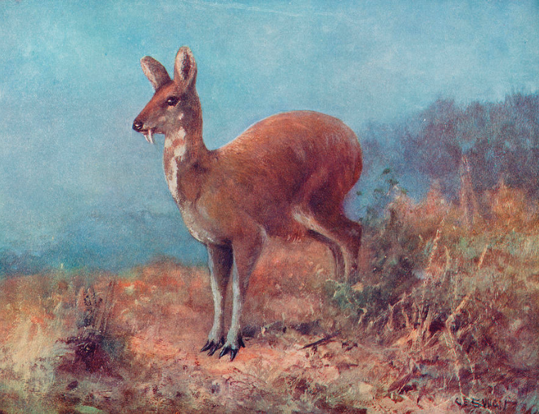 On Liking Difficult Scents