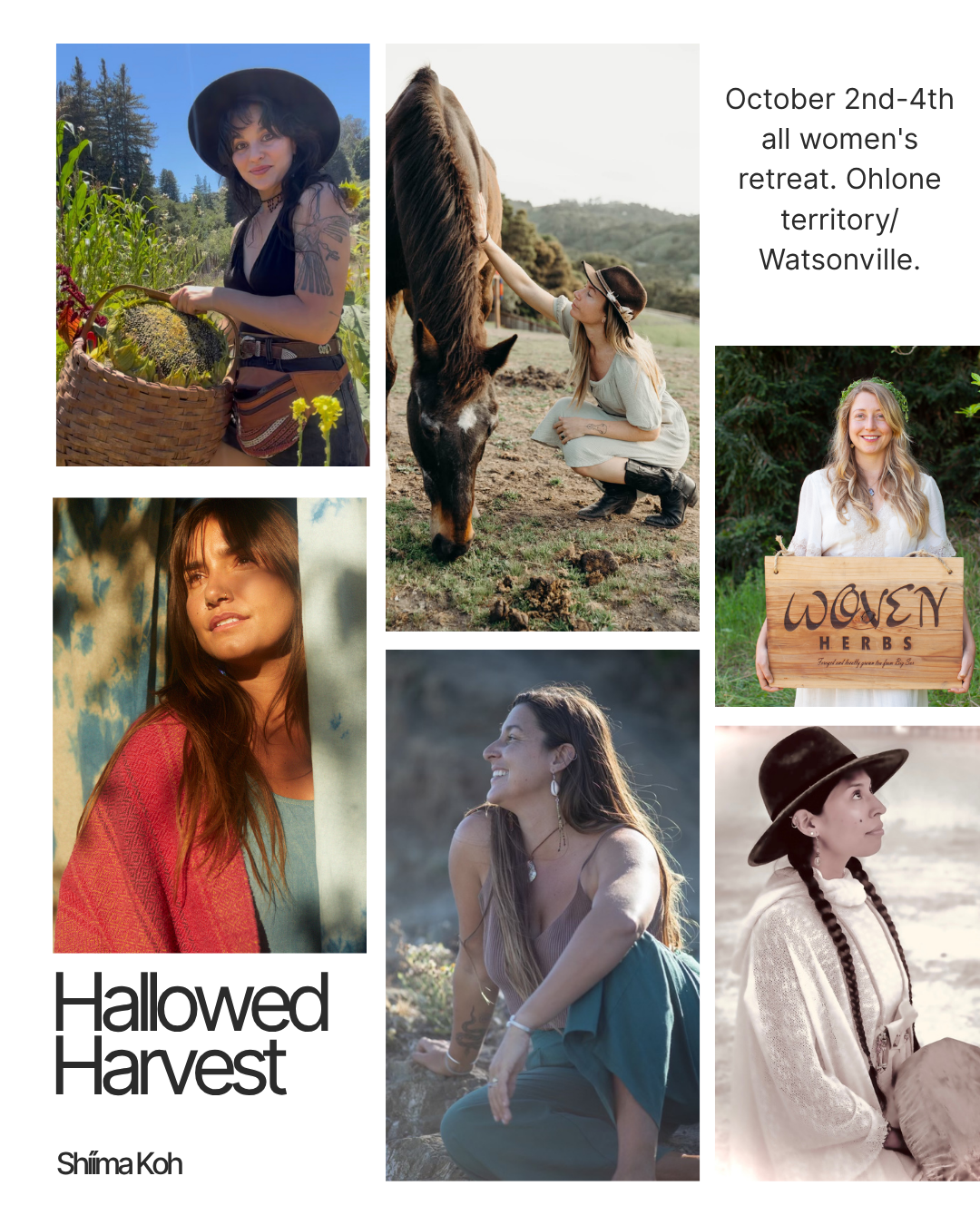 Hallowed Harvest