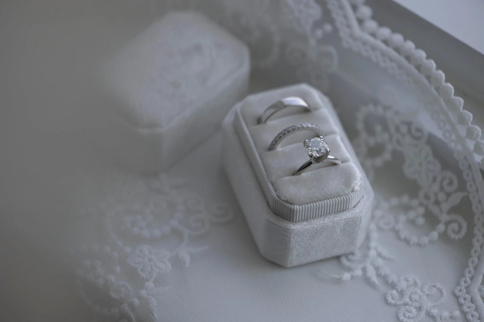 Bolhuis Wedding2.jpg