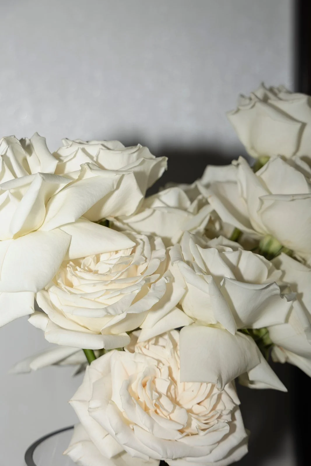 Bolhuis Wedding_Final_16.jpg
