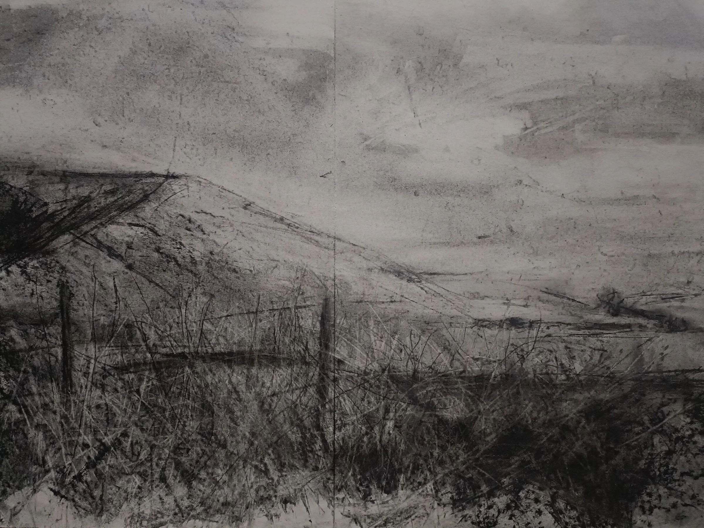 Charcoal Study, Charcoal on paper, 42cm x 59.4cm, 2025