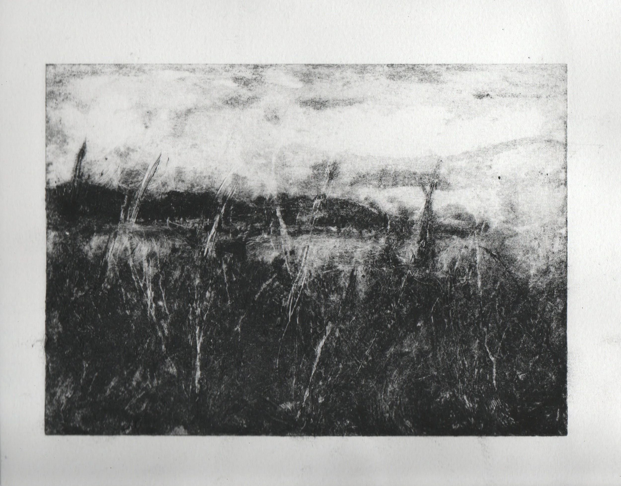 Carborundum Collagraph, 14.8cm x 21cm, 2025