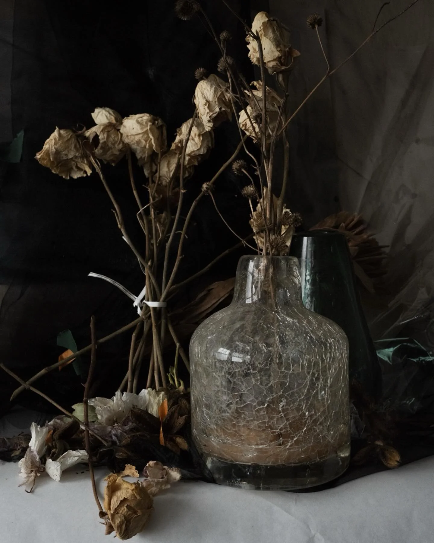 I brought flowers, 2026.

#domesticfailurephotoseries #pvmondayhome @photovogue