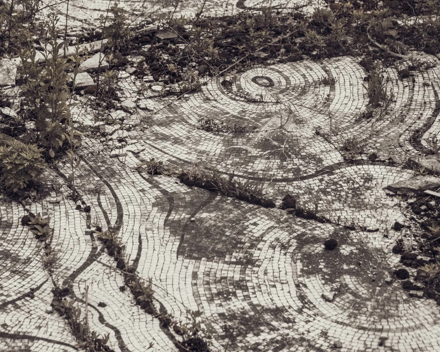 Persian Pool Untermyer Gardens