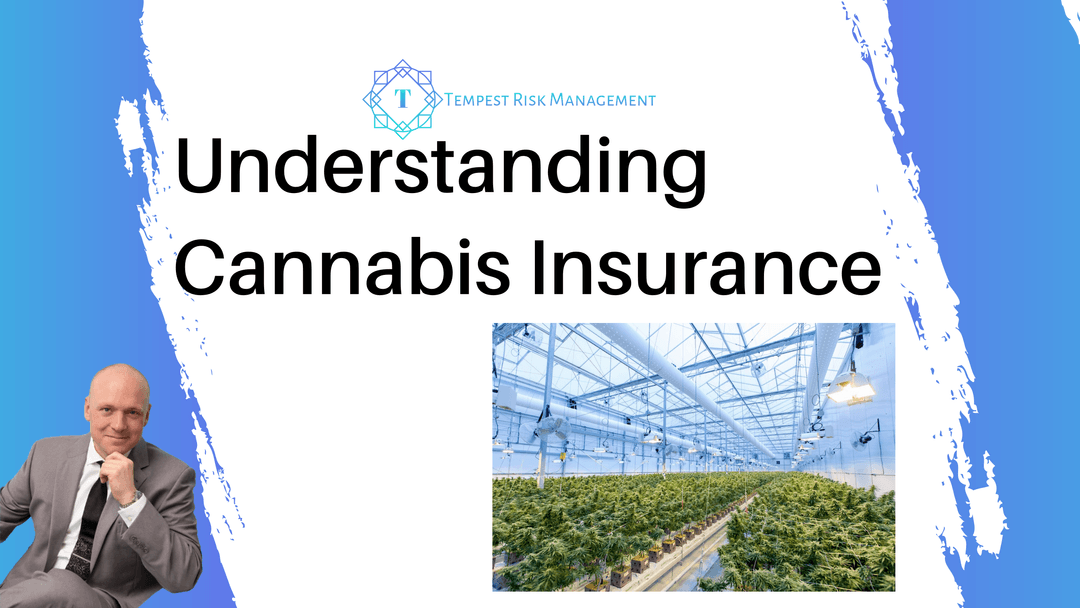 Understanding Cannabis Insurance: A Comprehensive Guide for Businesses