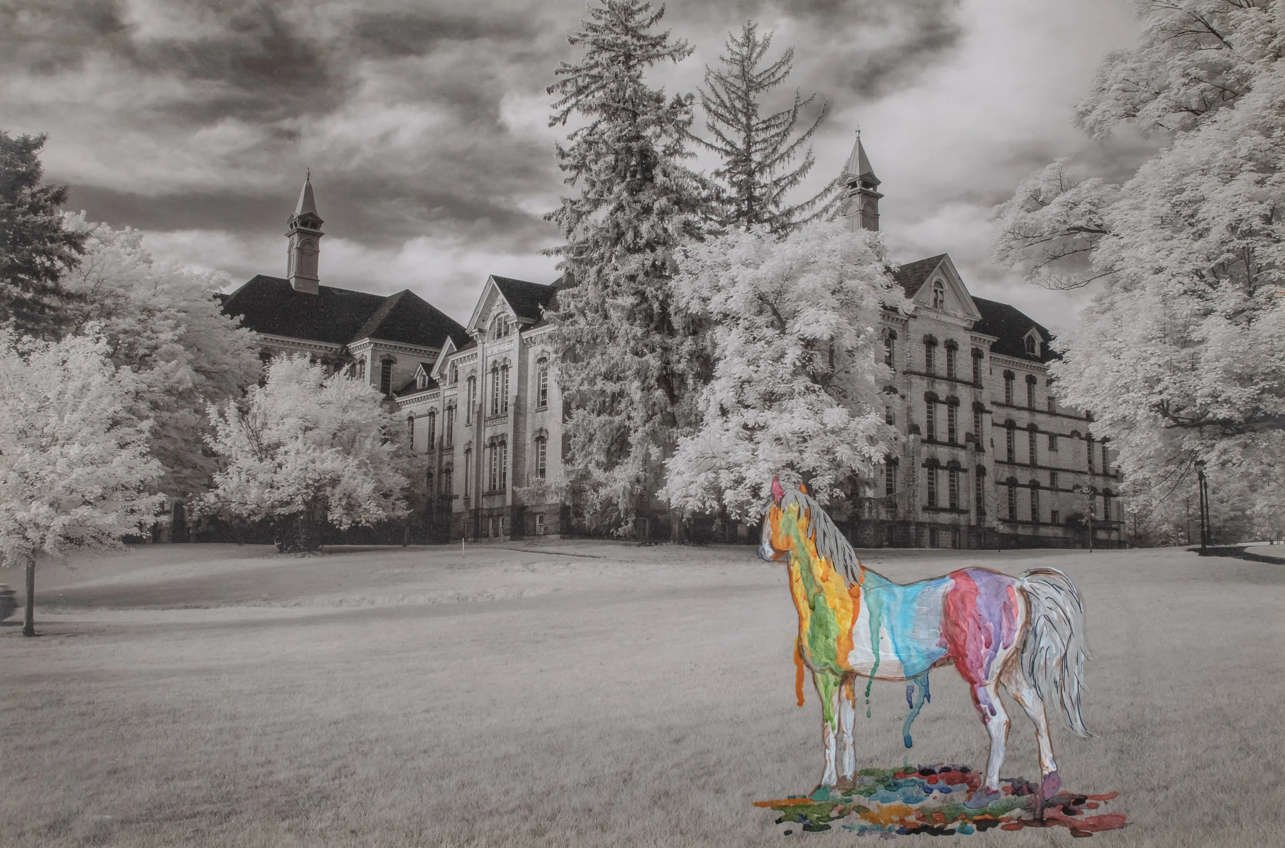 A Horse of a Different Color