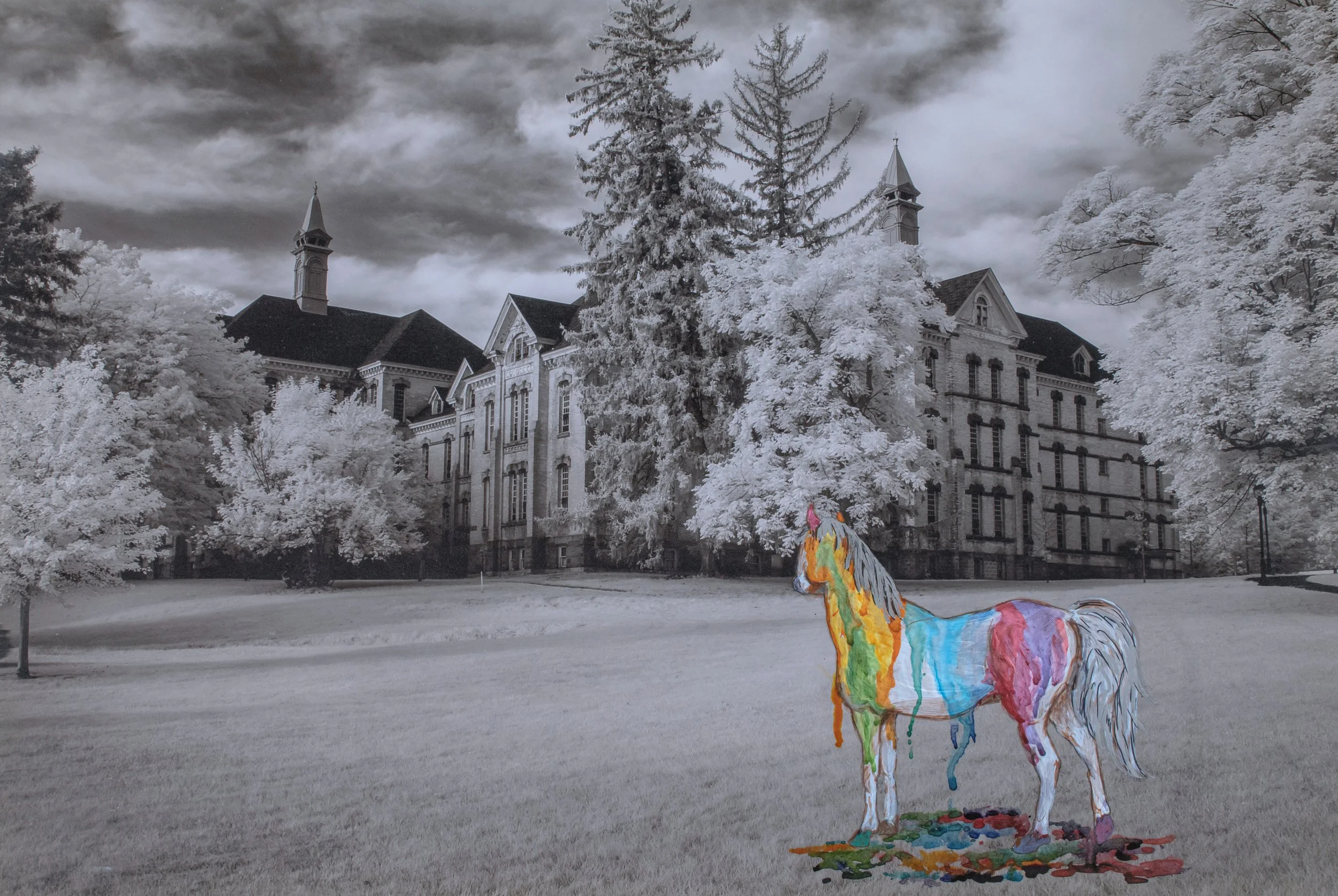 A Horse of a Different Color