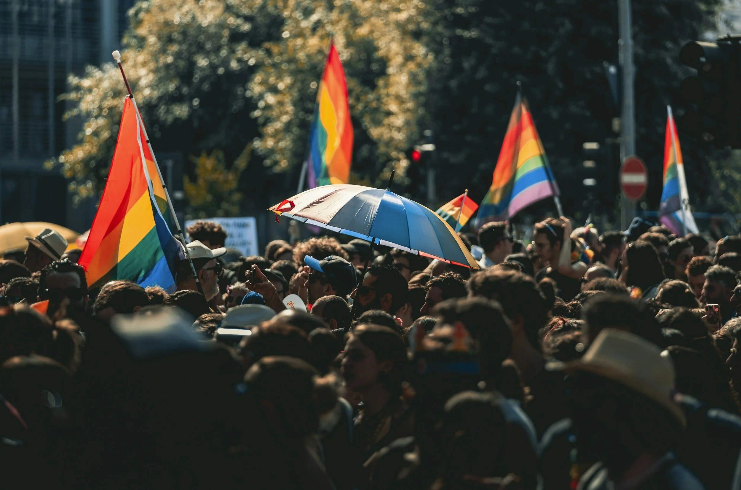 A crowd of people with various rainbow flags and in the middle is a rainbow umbrella.