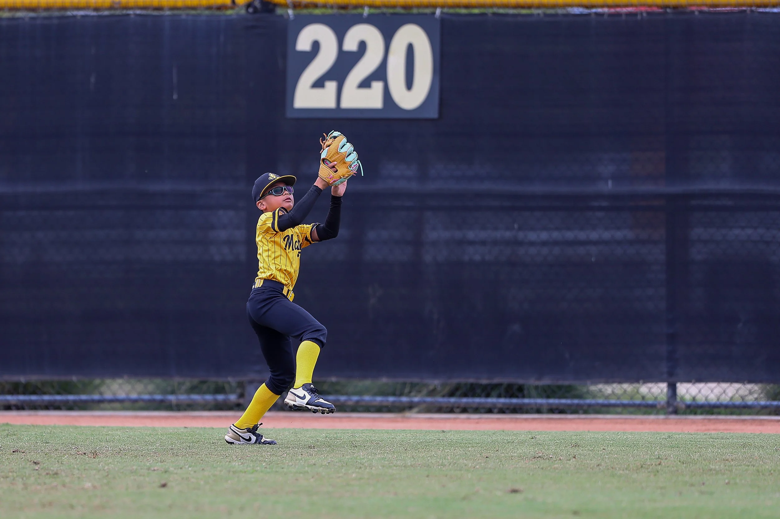 A young baseball player in a yellow and black uniform, wearing sunglasses and a cap, is jumping with one foot off the ground and reaching out to catch a baseball with his glove on an outfield grass field, with a black fence and a sign reading '220' in the background.