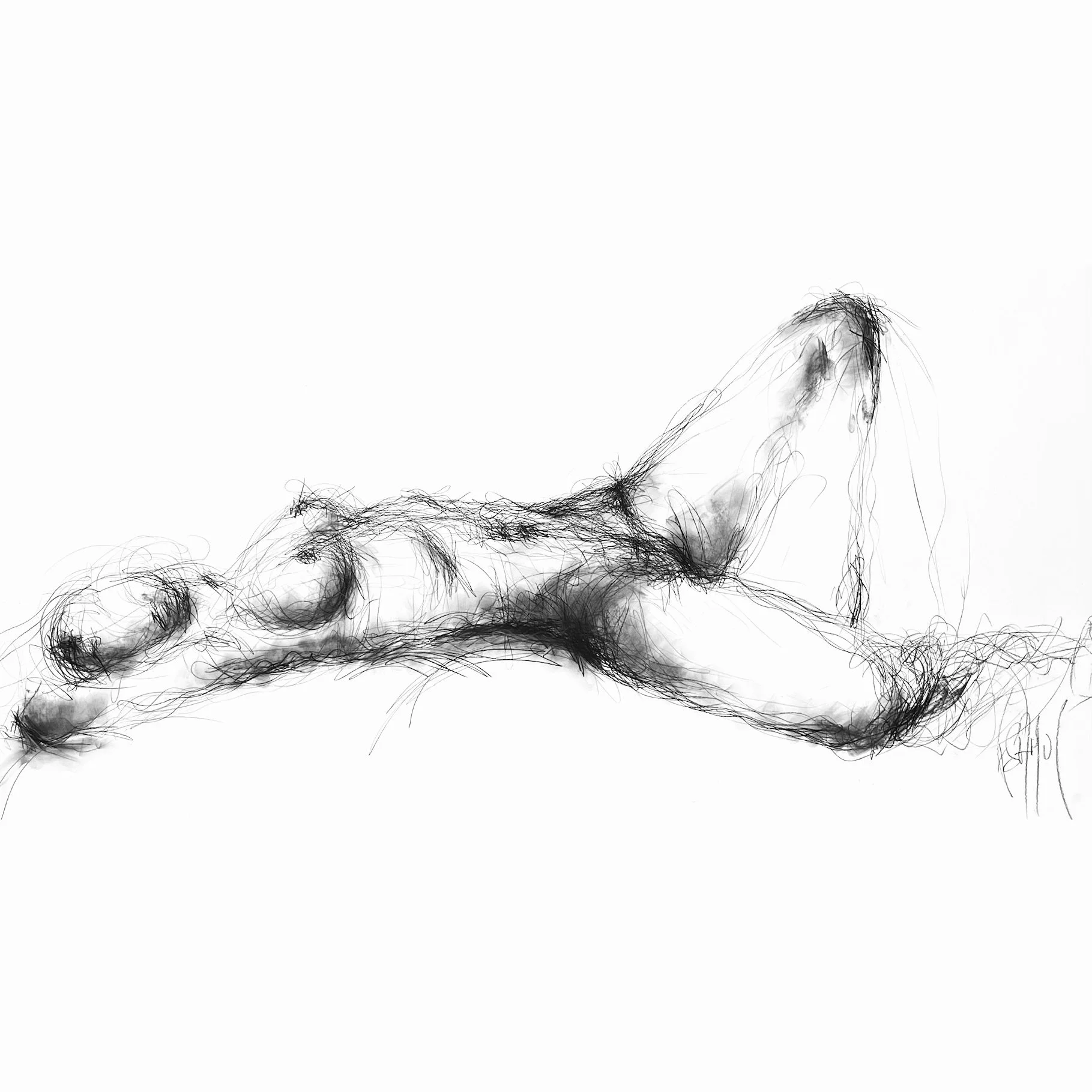 Coline allongée 60 x 120