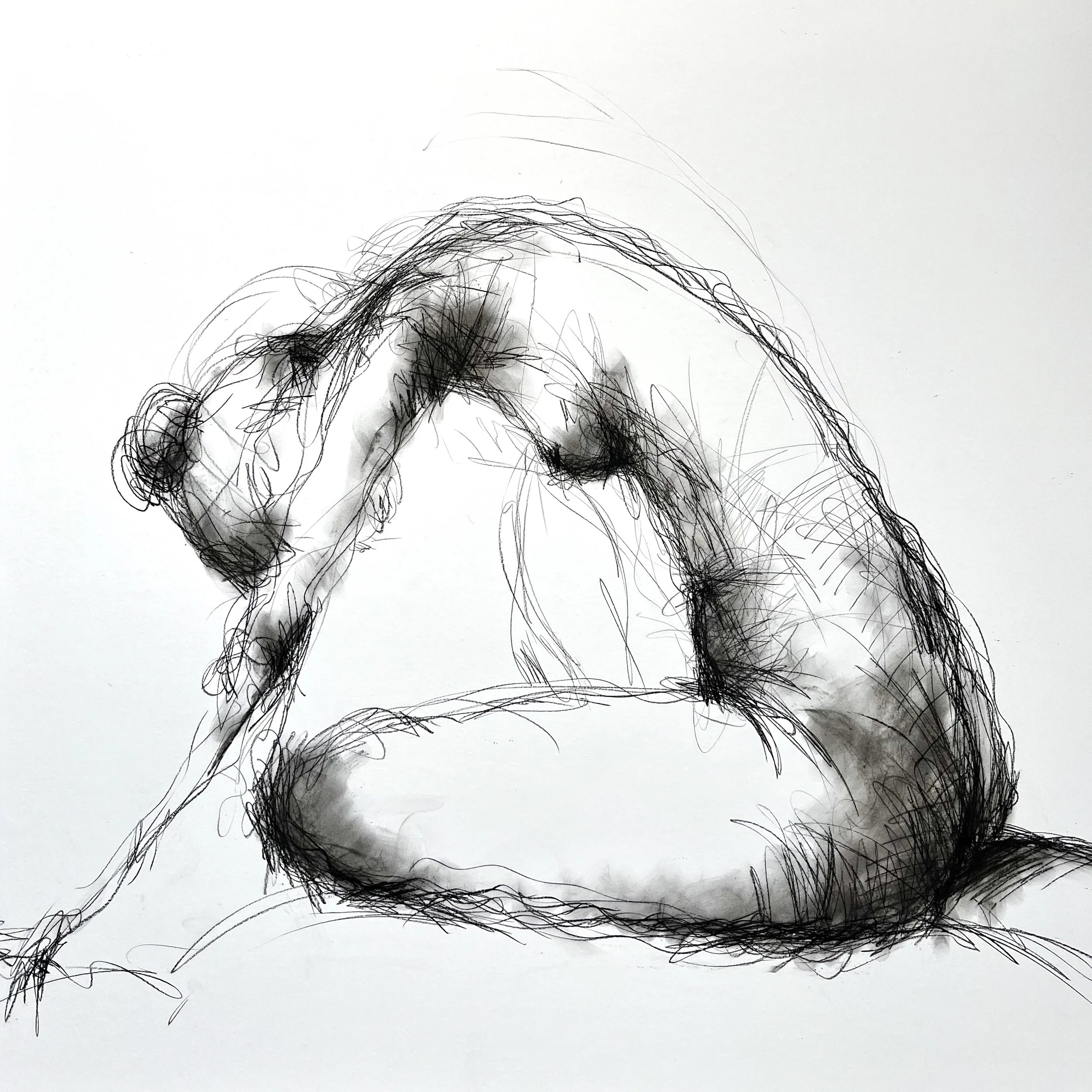 Laura 80 x 80