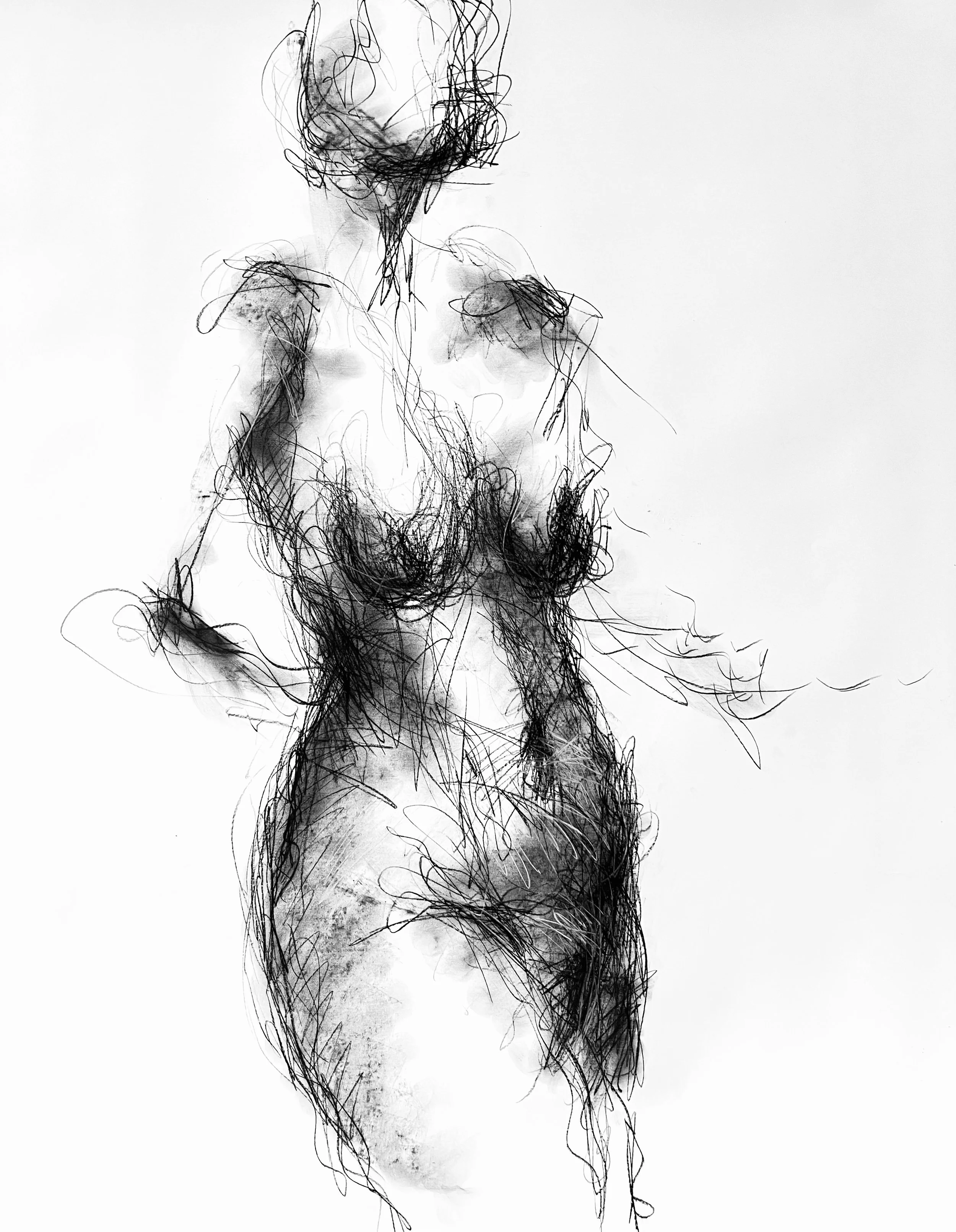 IMG_2669.jpeg