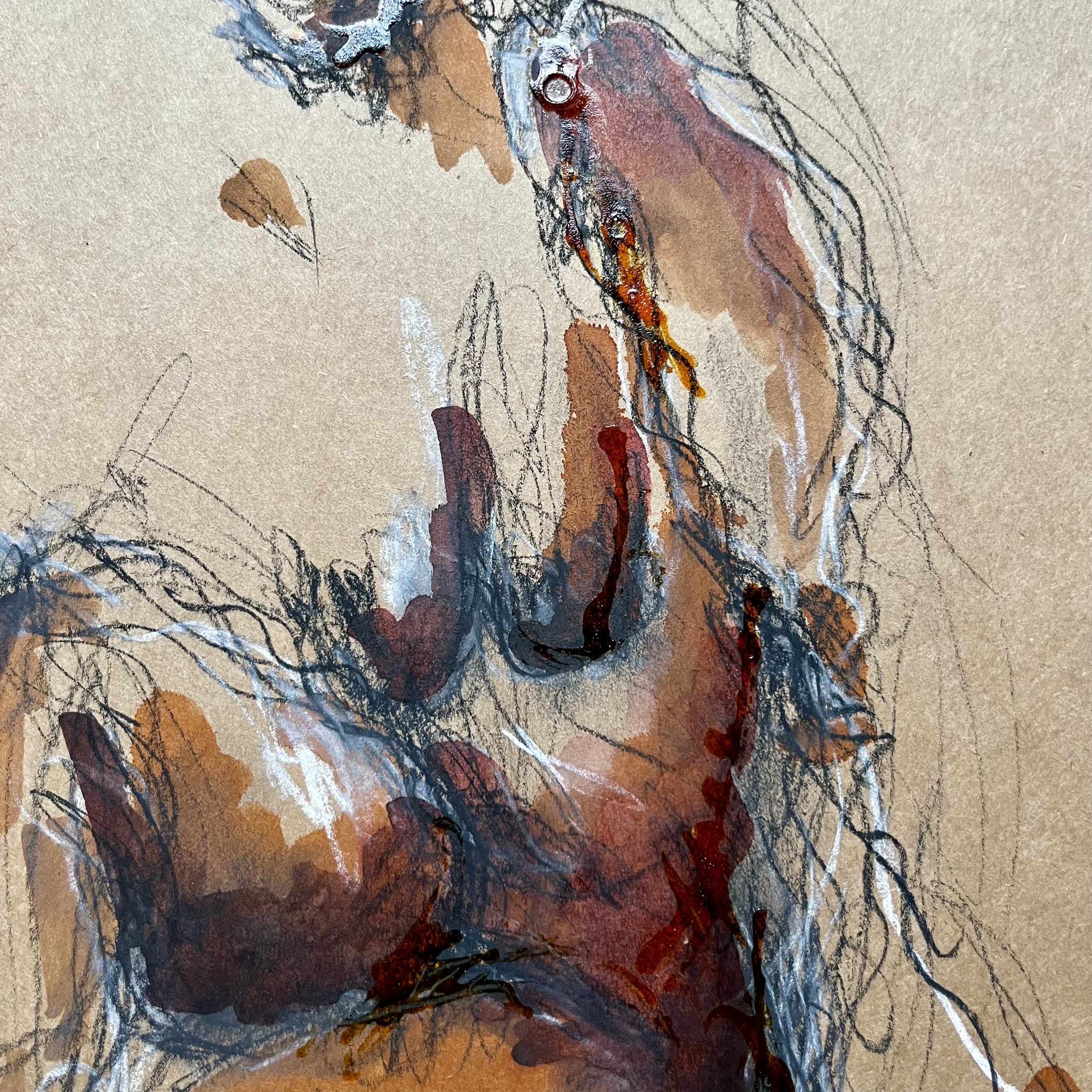Coline 30 x 30
