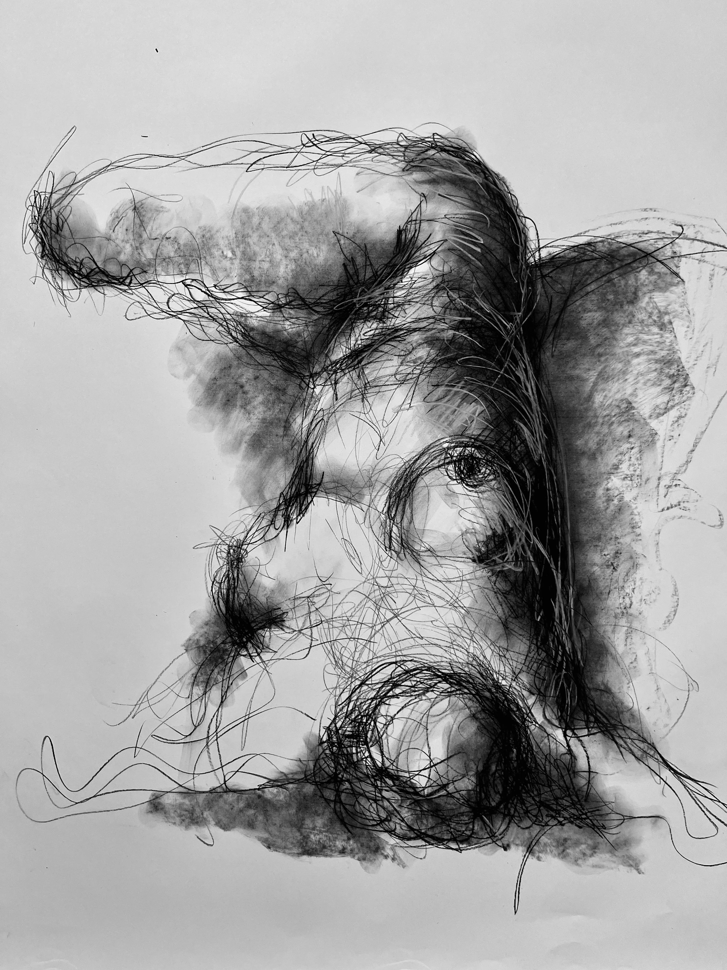 IMG_0996.jpeg