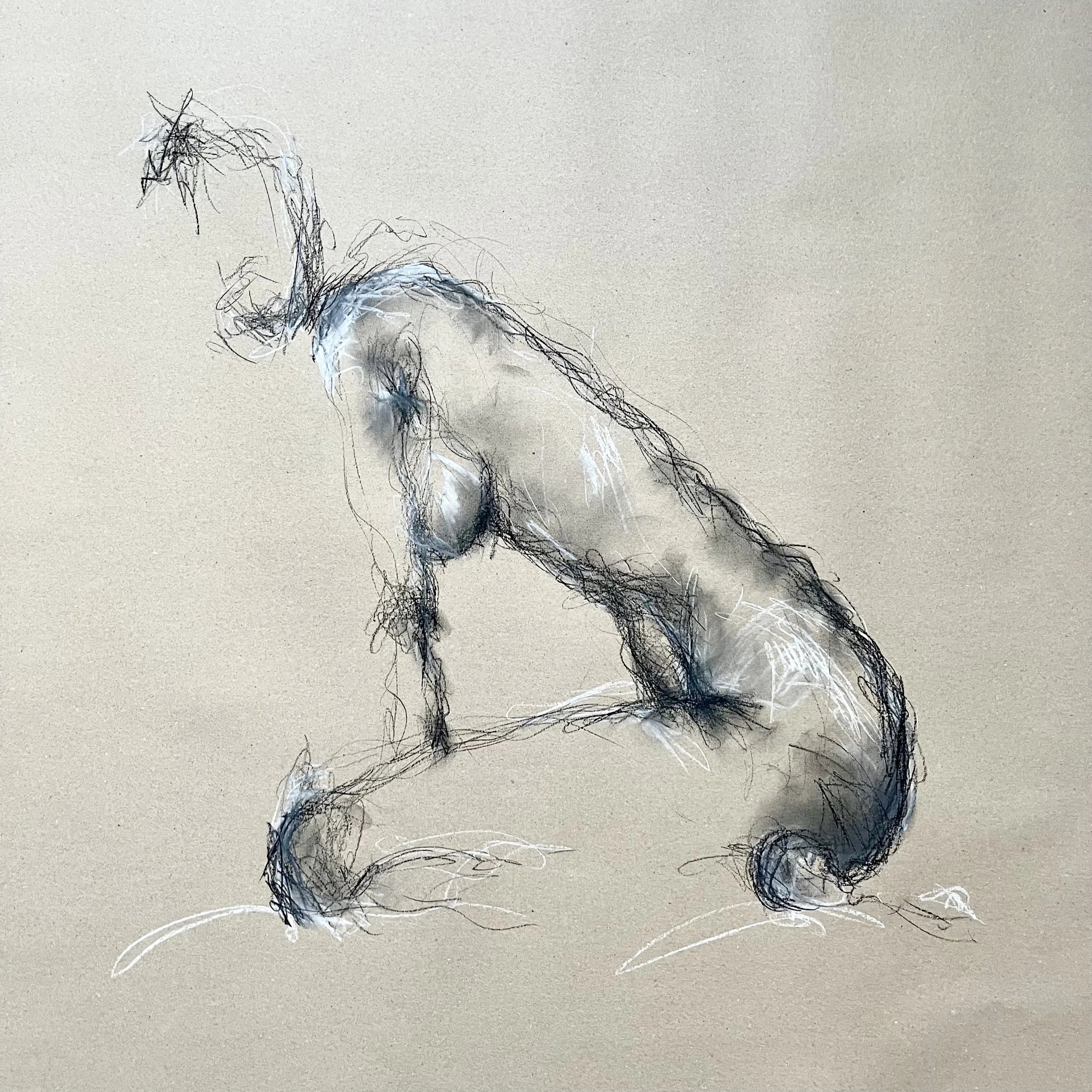 IMG_9839.jpeg