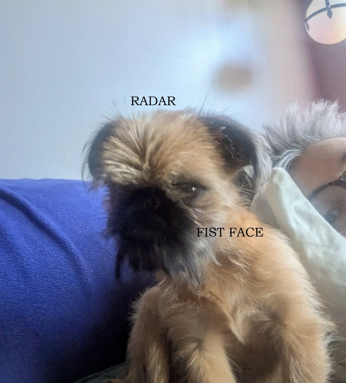 RADAR 2.jpg
