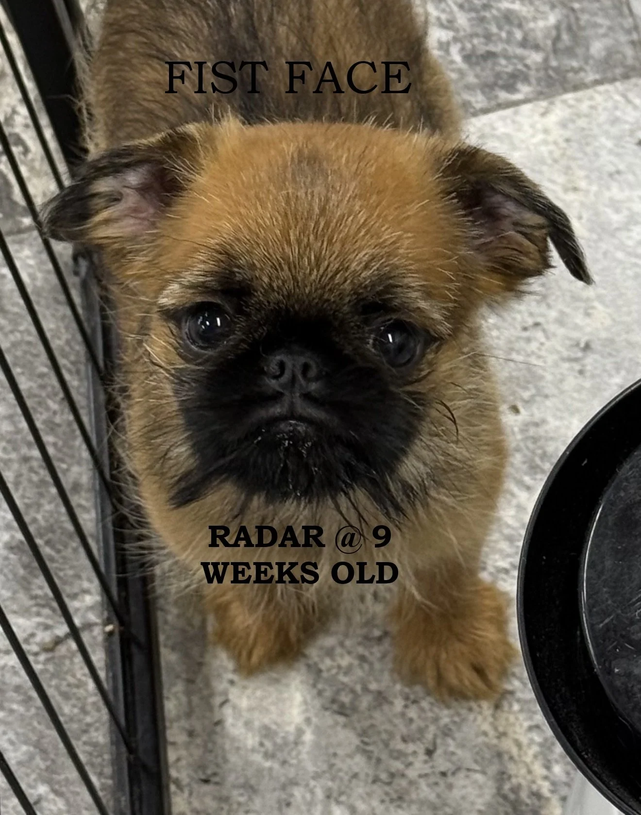 RADAR.jpg