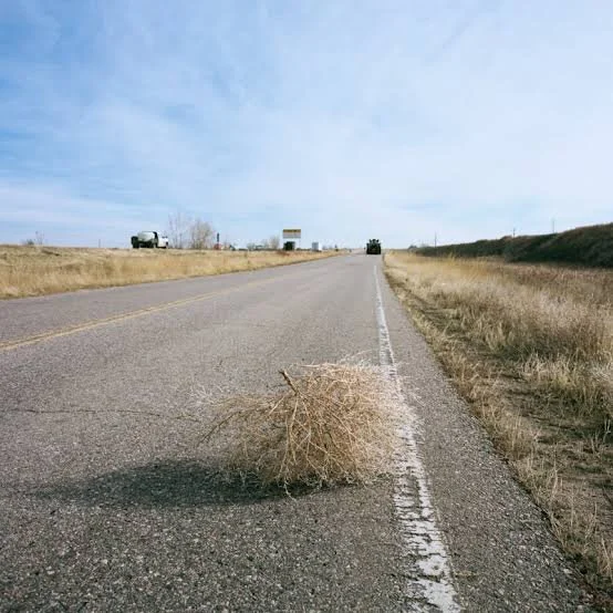 Your website gets traffic but no sales or enquiries — here's why (and what to do)