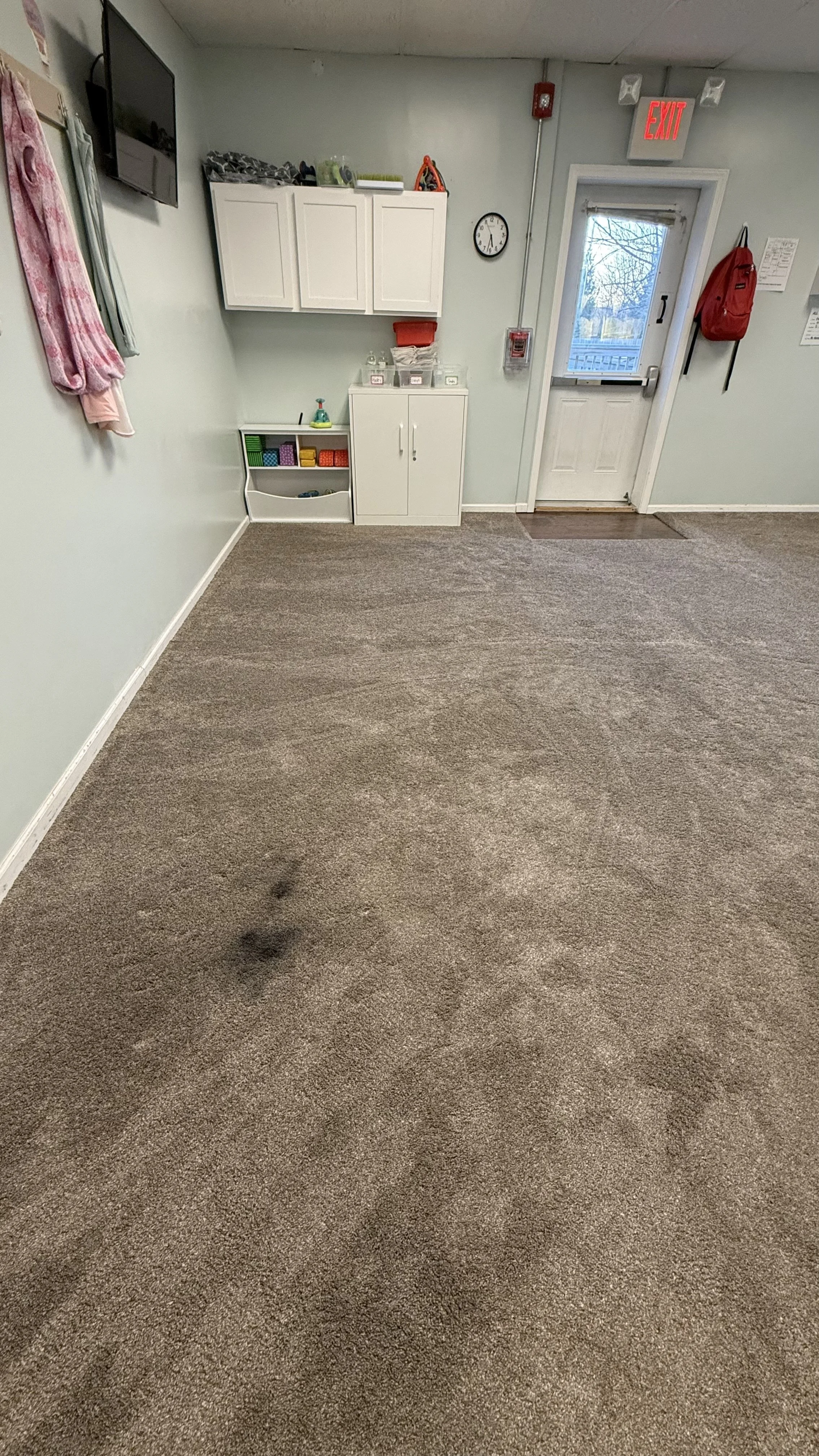 Helping to remove those pesky carpet stains 