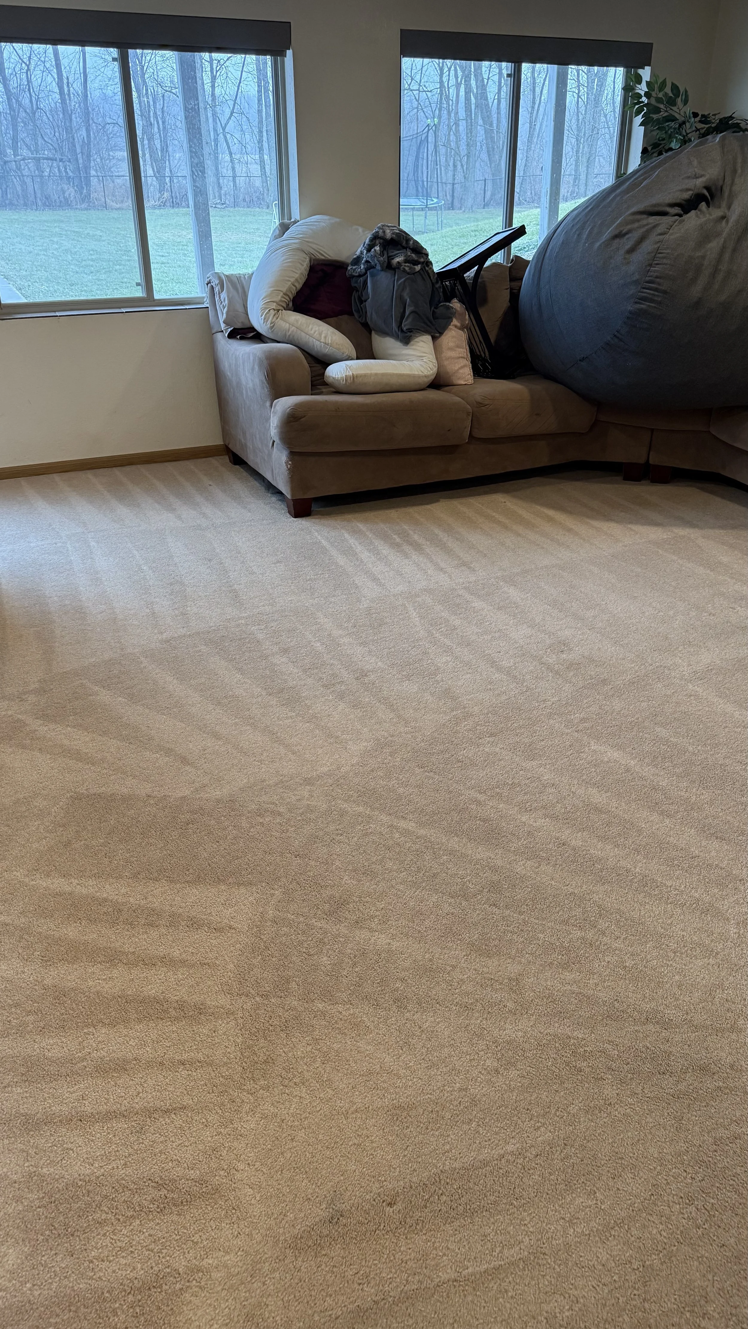 Carpet & Upholstery Cleaning