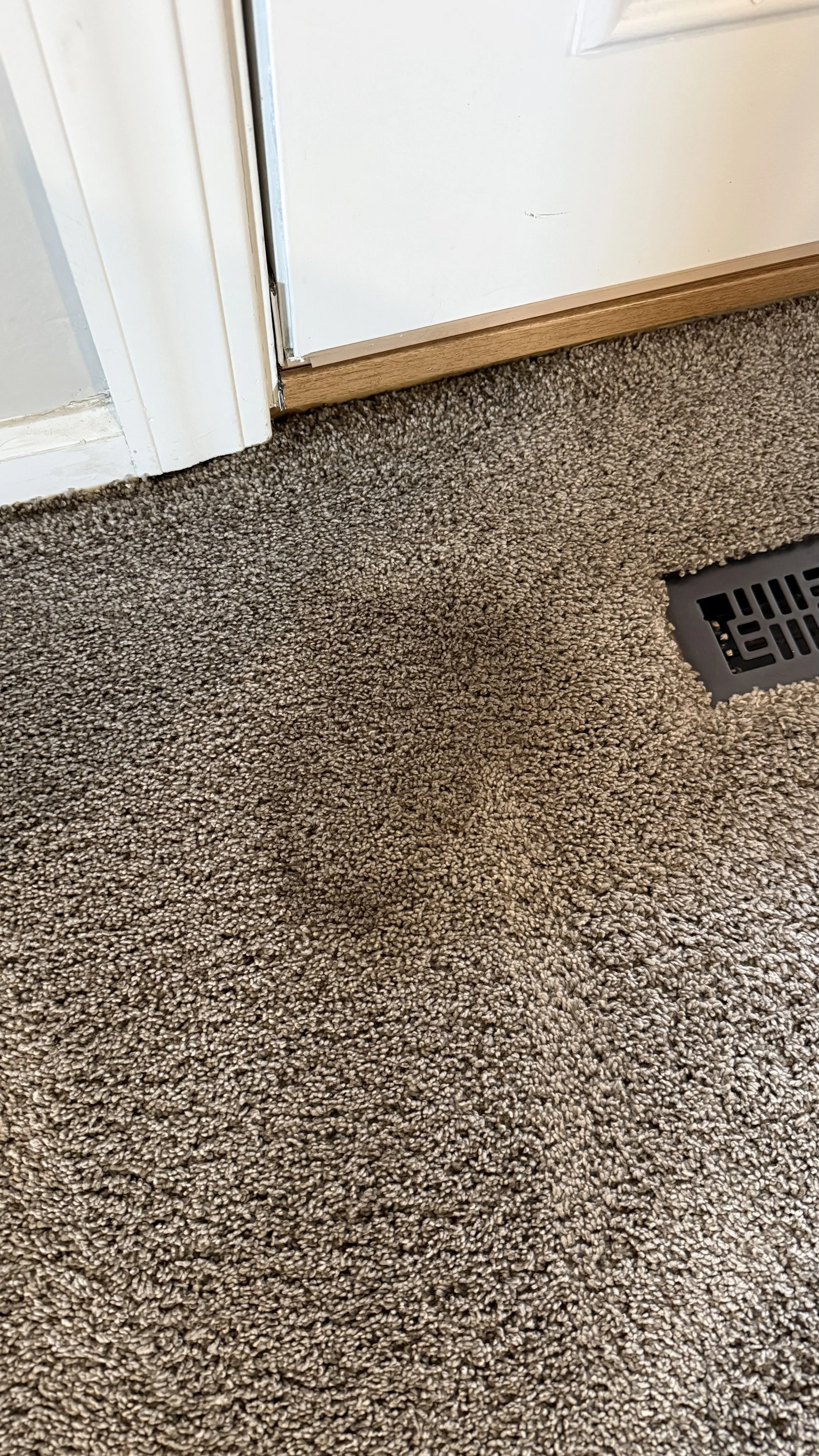 Professional carpet cleaning.jpeg