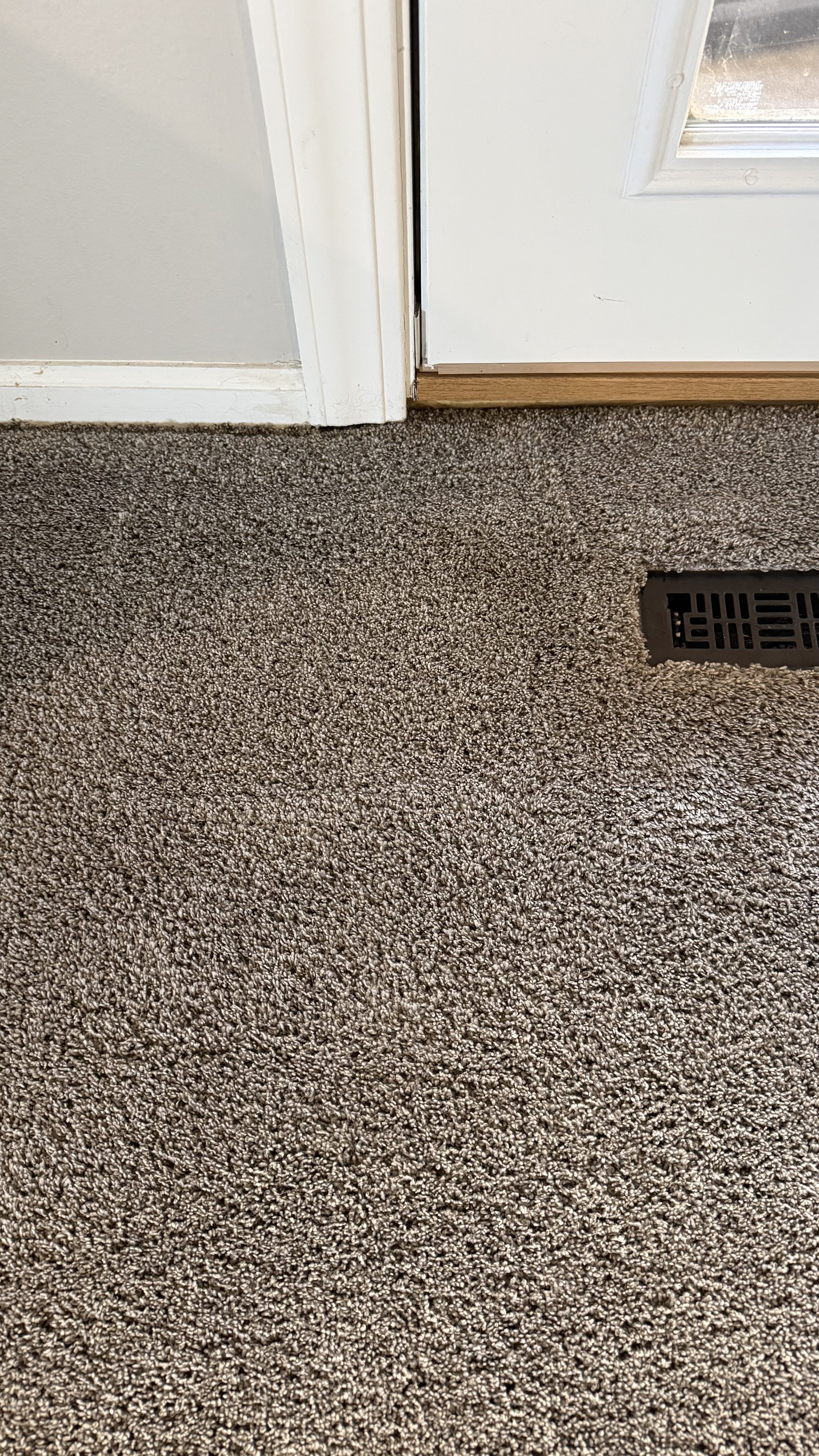 Residential carpet cleaning.jpeg