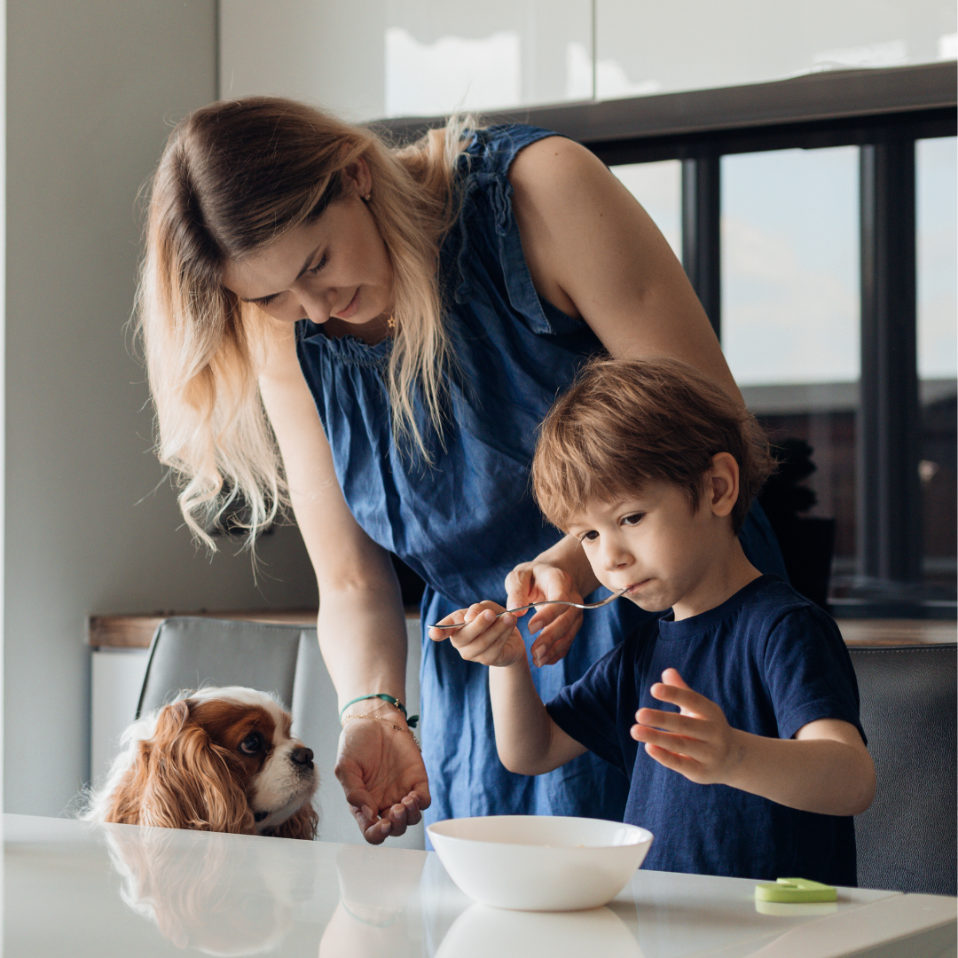 A mom and young boy feeding their Cavalier King Charles Spaniel at the table, reflecting a pediatric dietitian’s real-life, family-friendly approach to childrens nutrition and mealtime connection.