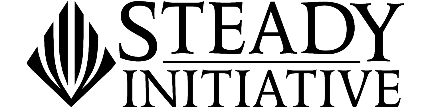 The Steady Initiative