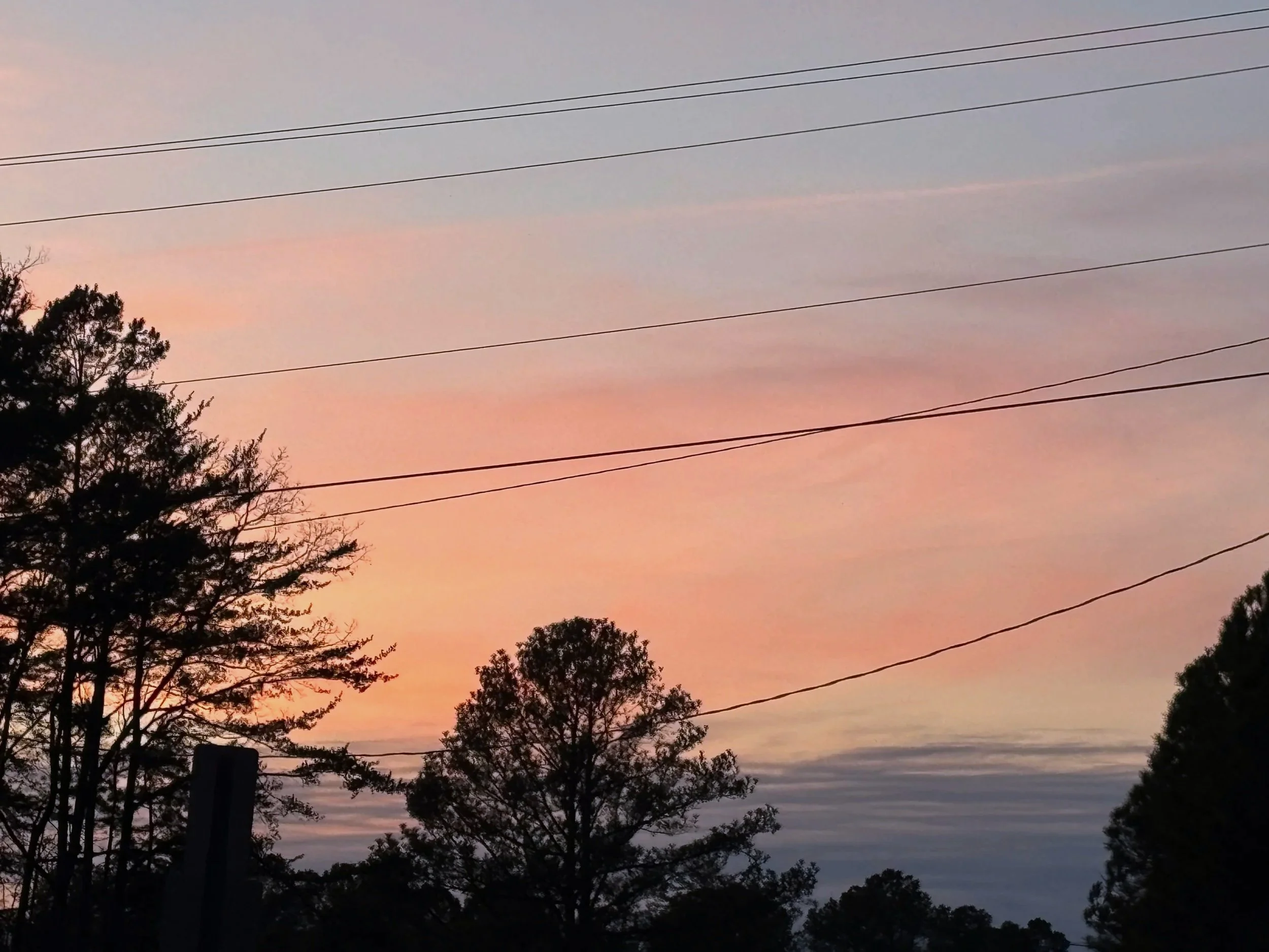 A sunset sky with hues of pink, purple, and orange, silhouettes of trees, and power lines crossing the sky.