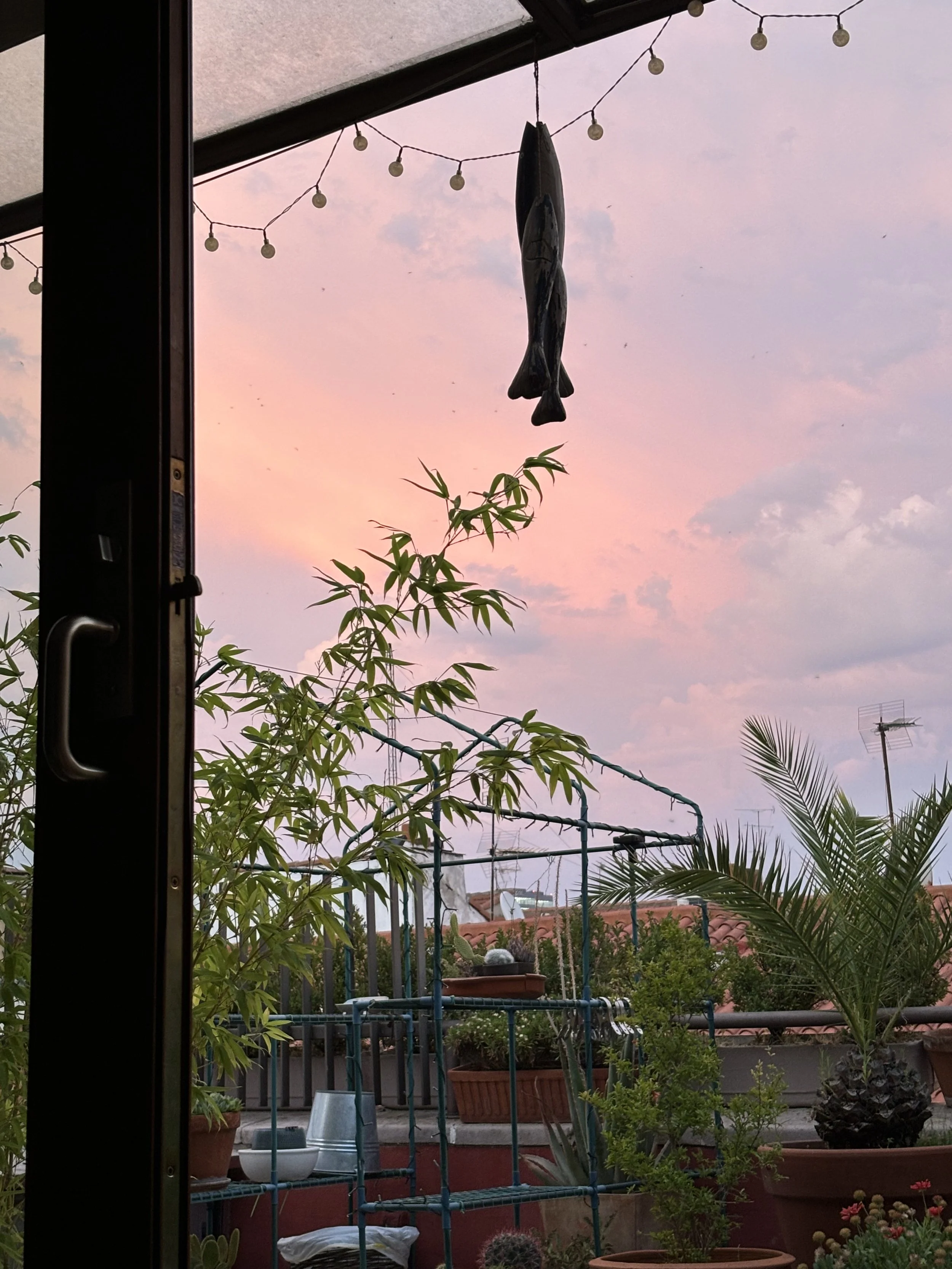 The image shows a view of a garden or balcony area with various potted plants, including cacti and leafy plants, seen through an open door. Hanging in the sky, there is a decorative fish-shaped wind chime. String lights with round bulbs are hung above, and the sky displays a pink and purple sunset with some clouds. In the background, rooftops, a television antenna, and satellite dishes are visible.