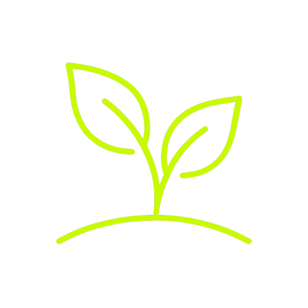 Minimalist neon green outline of a sprouting plant with two leaves on a black background