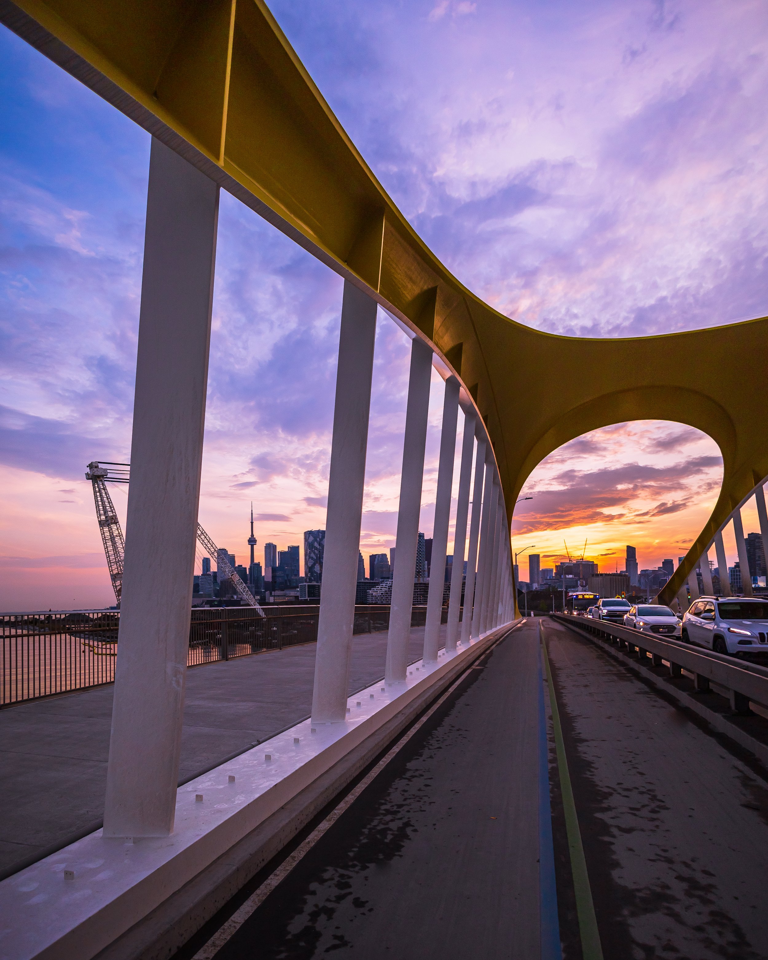 Down For The Night.jpg