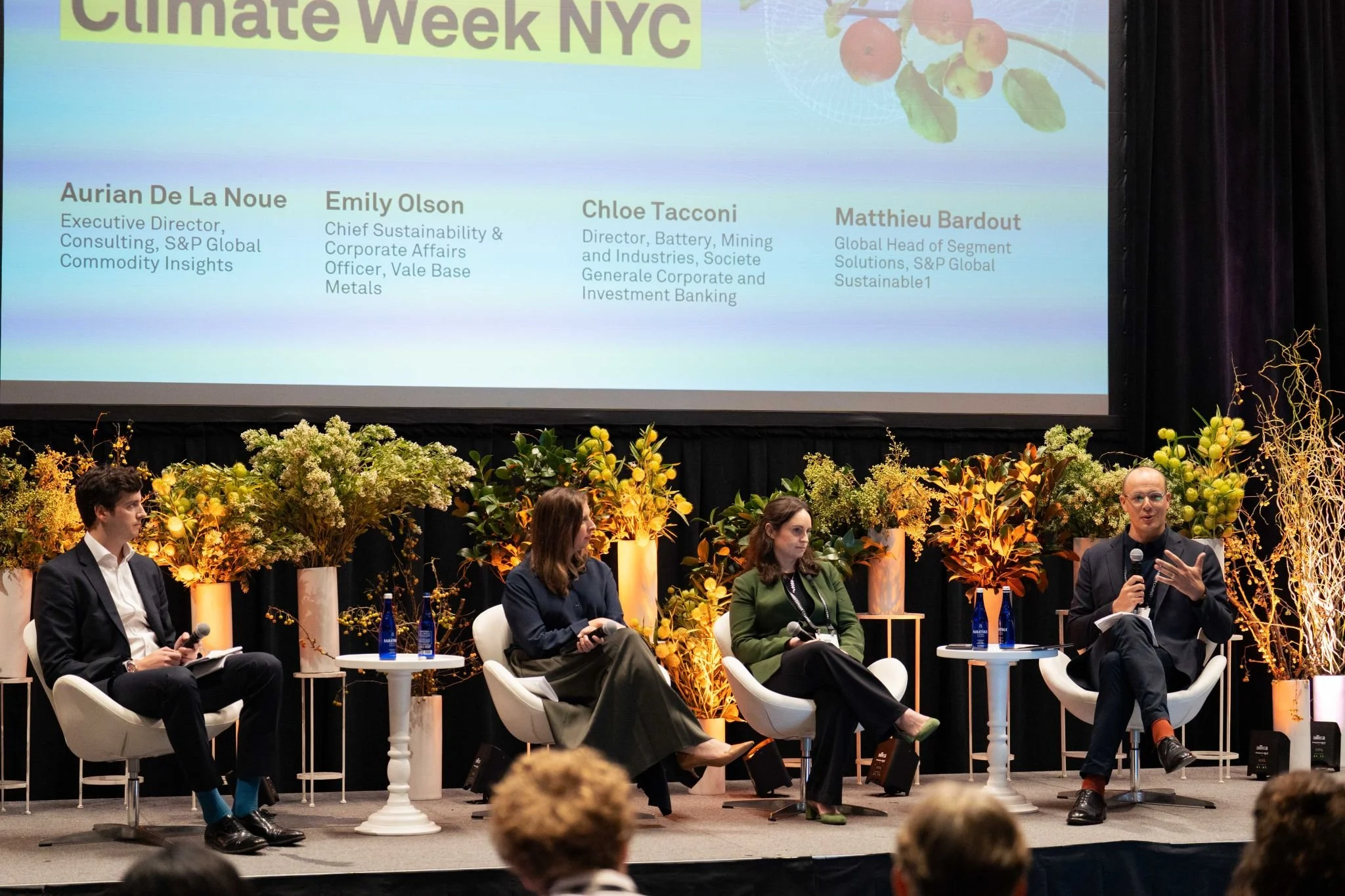 MBardout_NY climate week_2025.jpeg