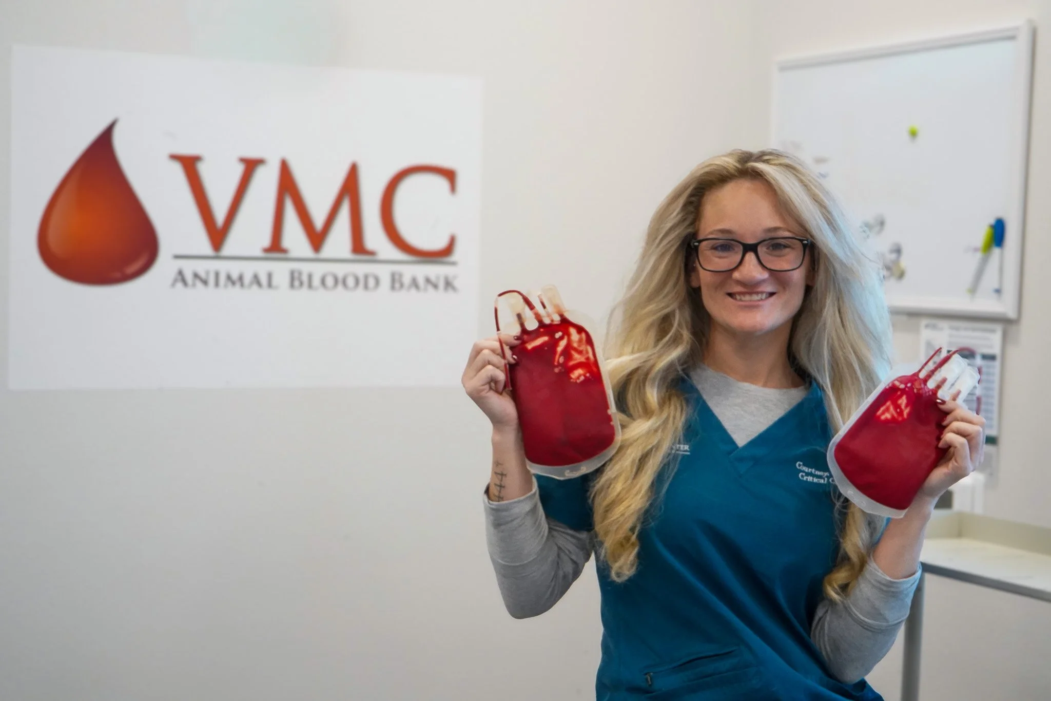 How the VMC Animal Blood Bank Saves Lives in Lakewood Ranch